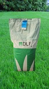 Lollium Perenne Çim Tohumu