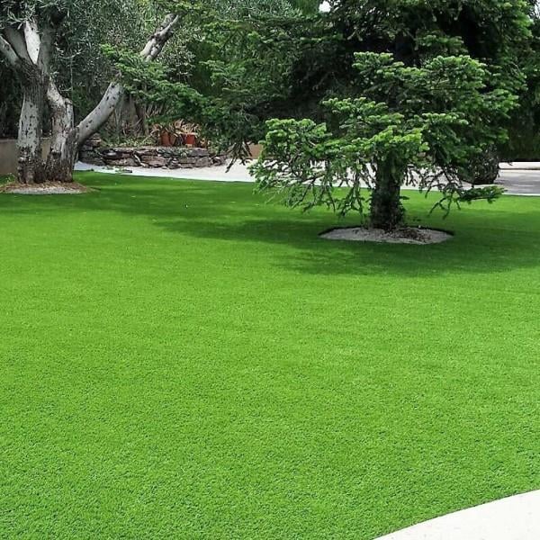 Lollium Perenne Çim Tohumu