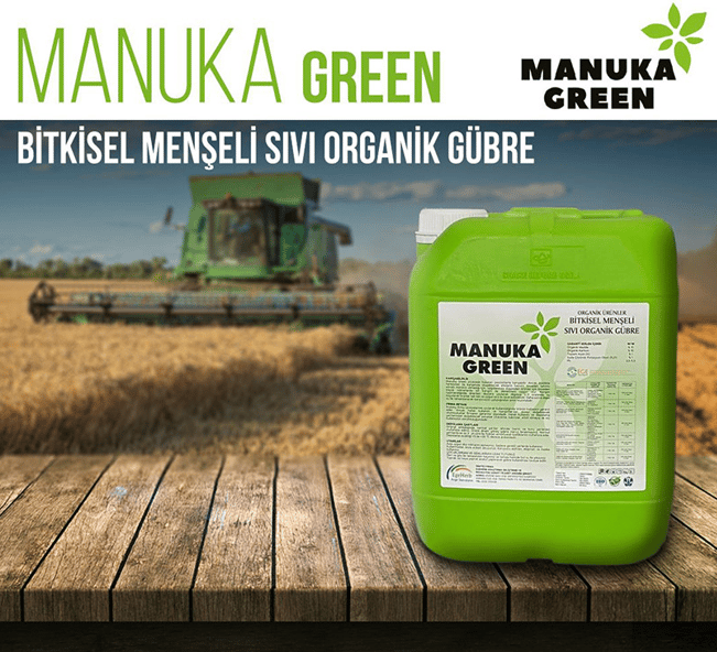 Manuka Green