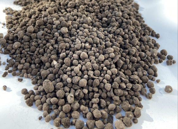 Royal 10-10-10 + 15So3 25Kg