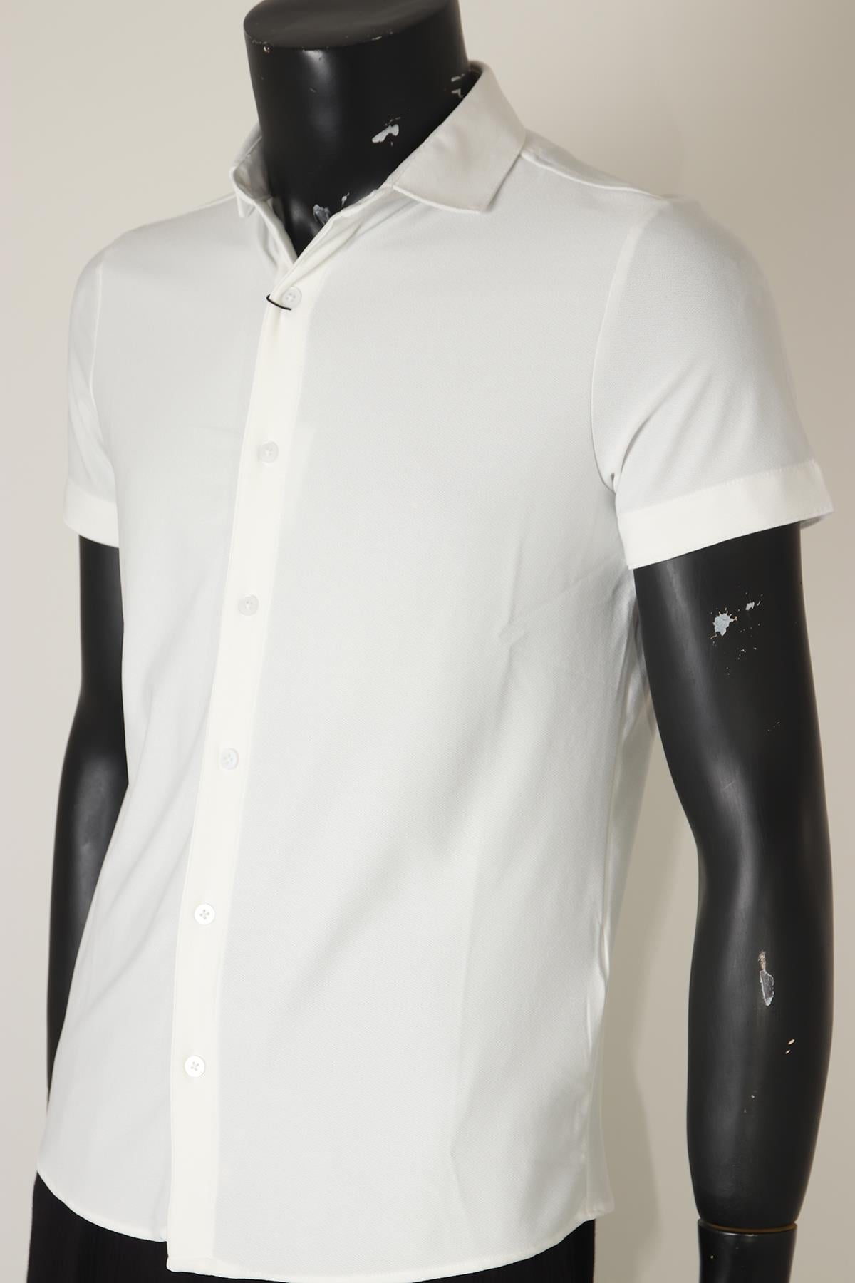 12329 WEM TSHIRT 