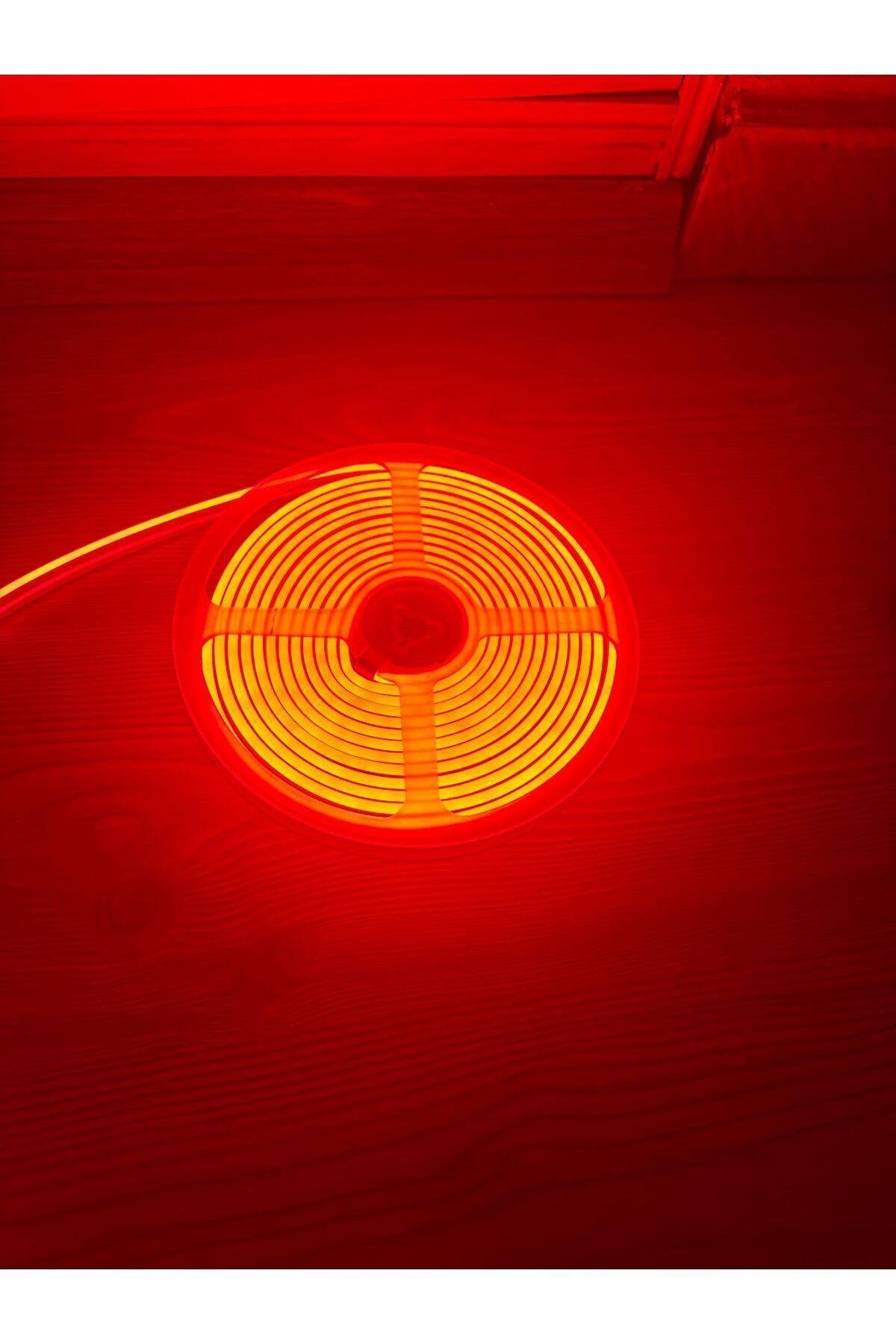 Ct-4555 Buz Mavisi Renk 12v Neon Led (5 METRE)