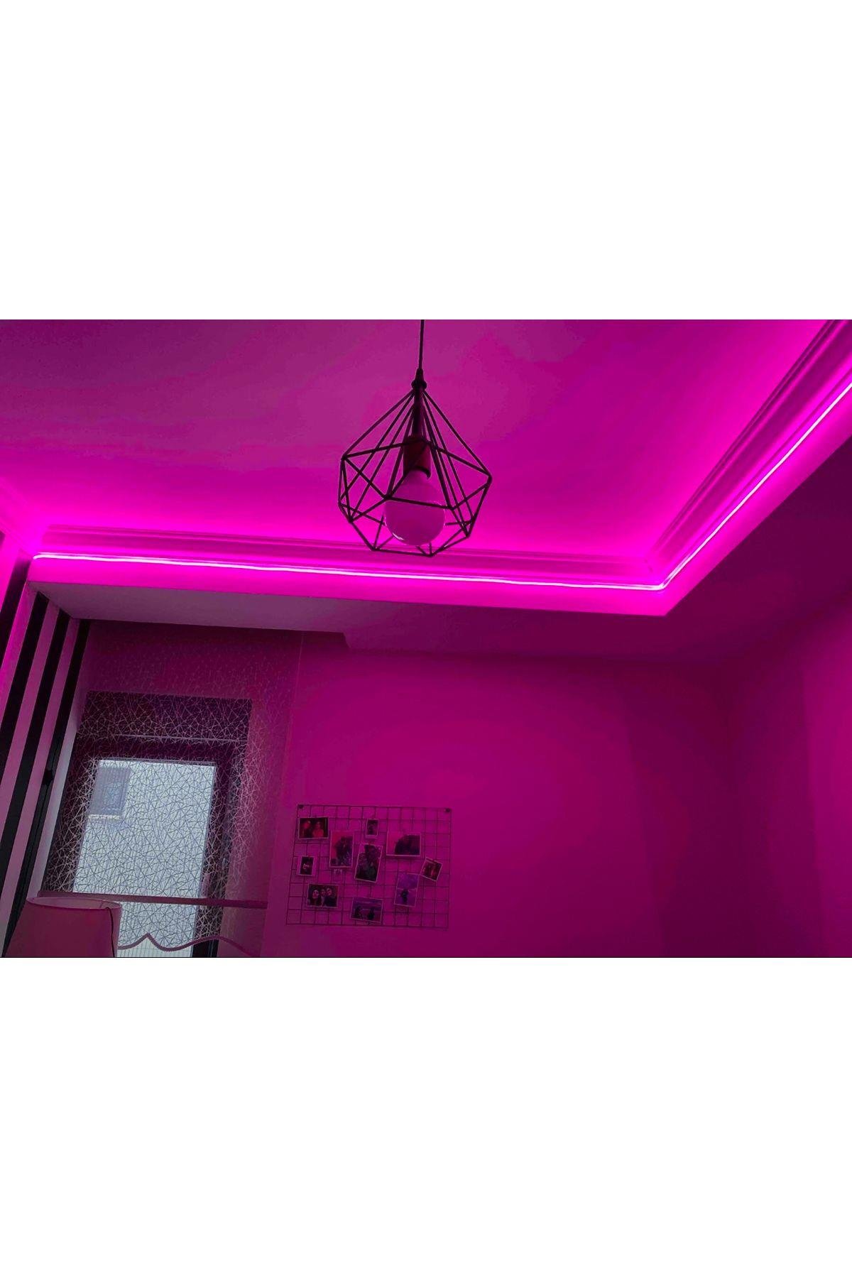 Yl42-1220 Noas 12v Şerit Led