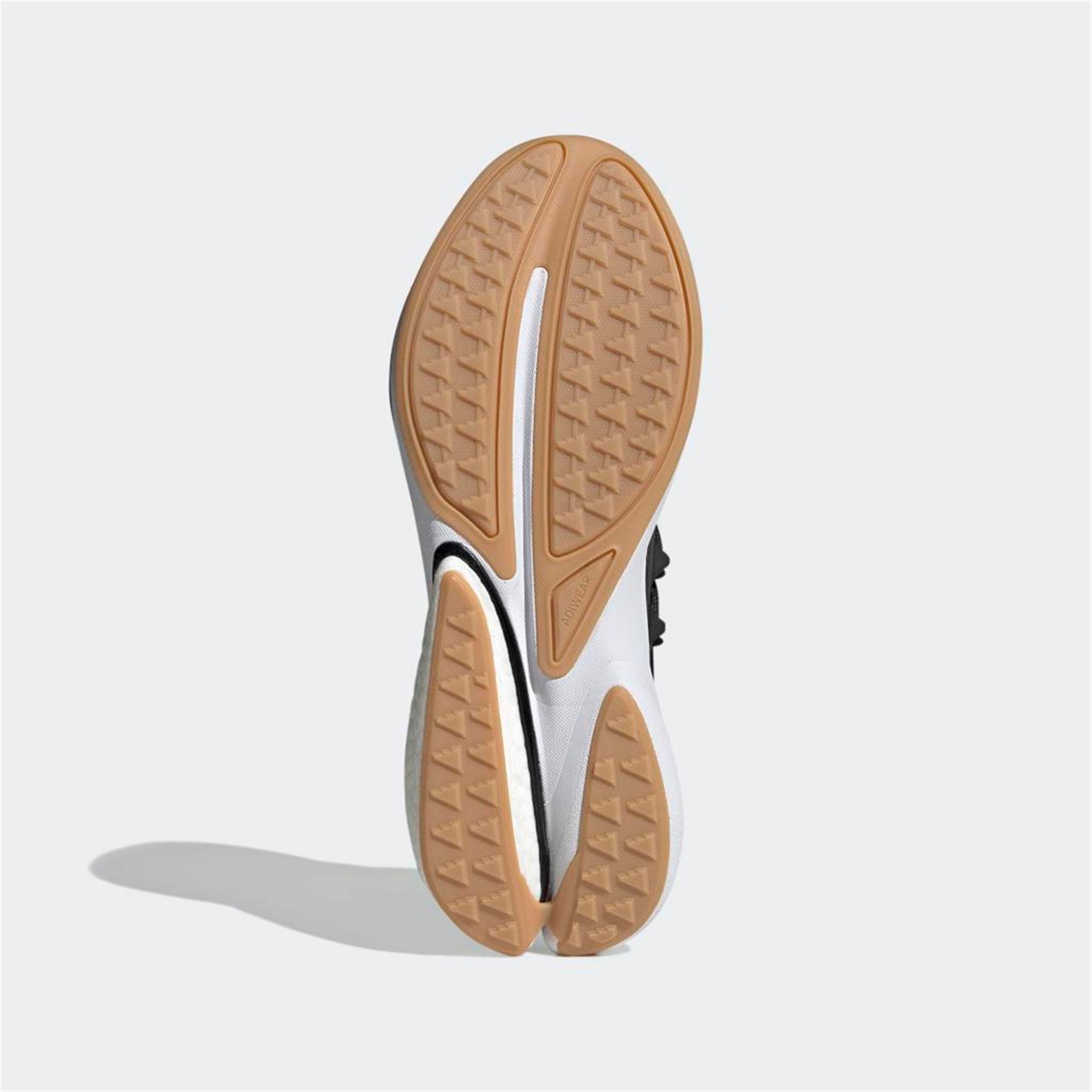 AlphaBoost V2