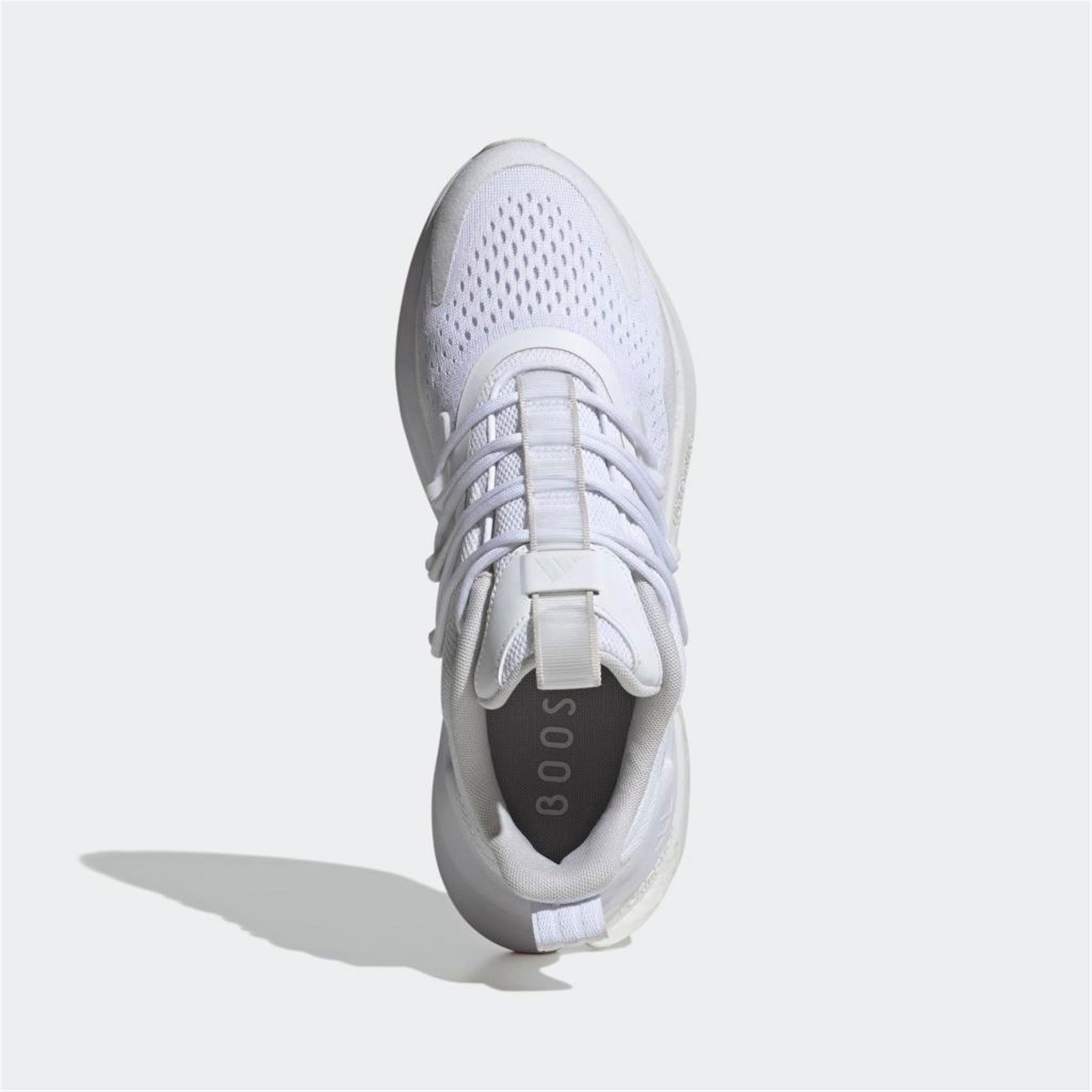 AlphaBoost V2