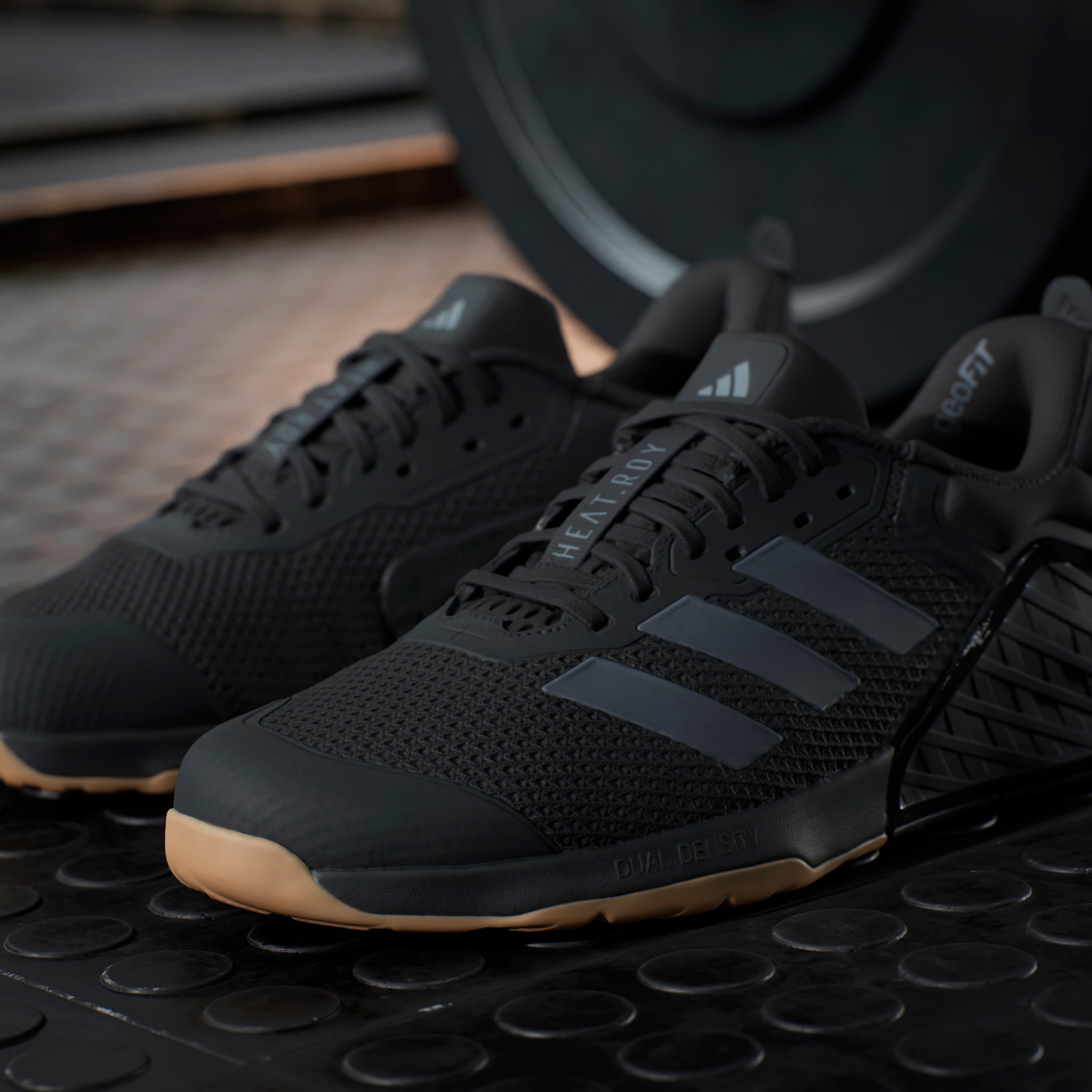 DROPSET 3 TRAINER