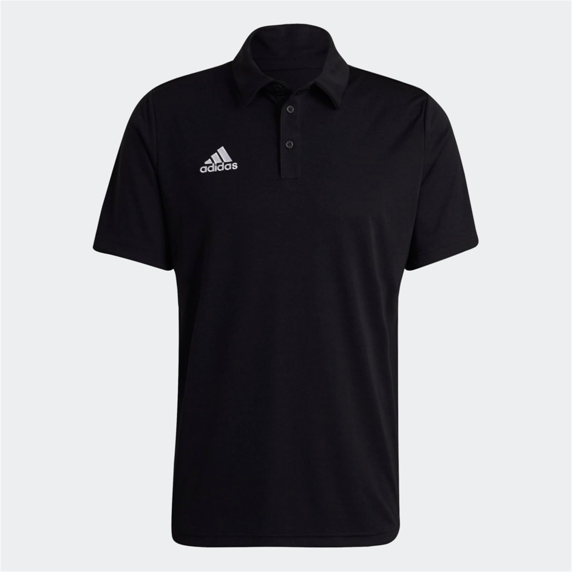ENT22 POLO