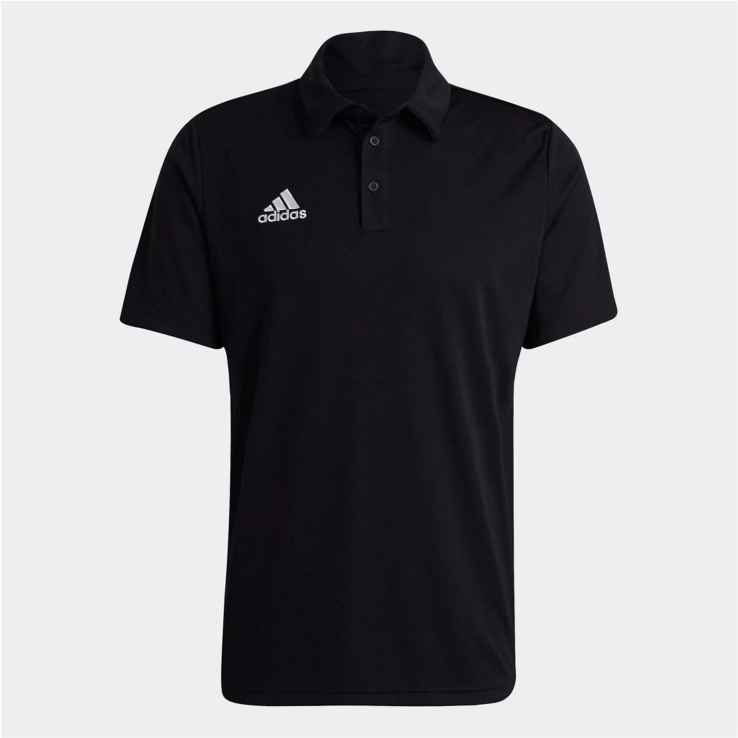 ENT22 POLO