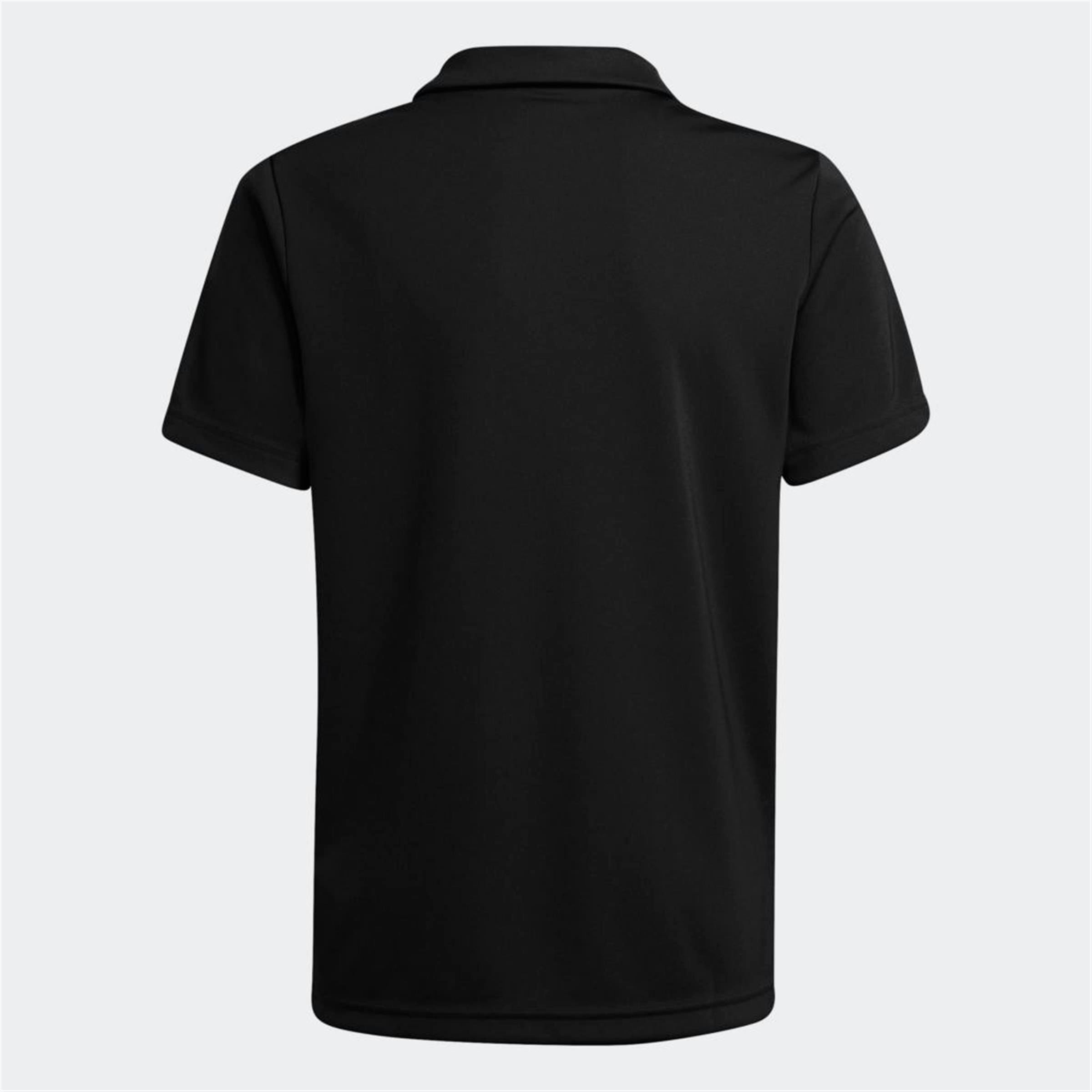 ENT22 POLO