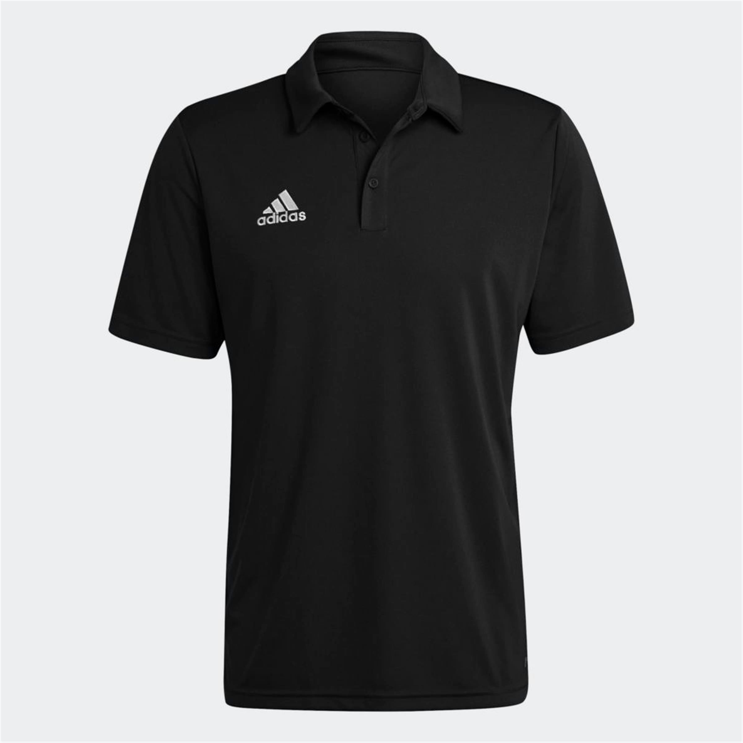 ENT22 POLO