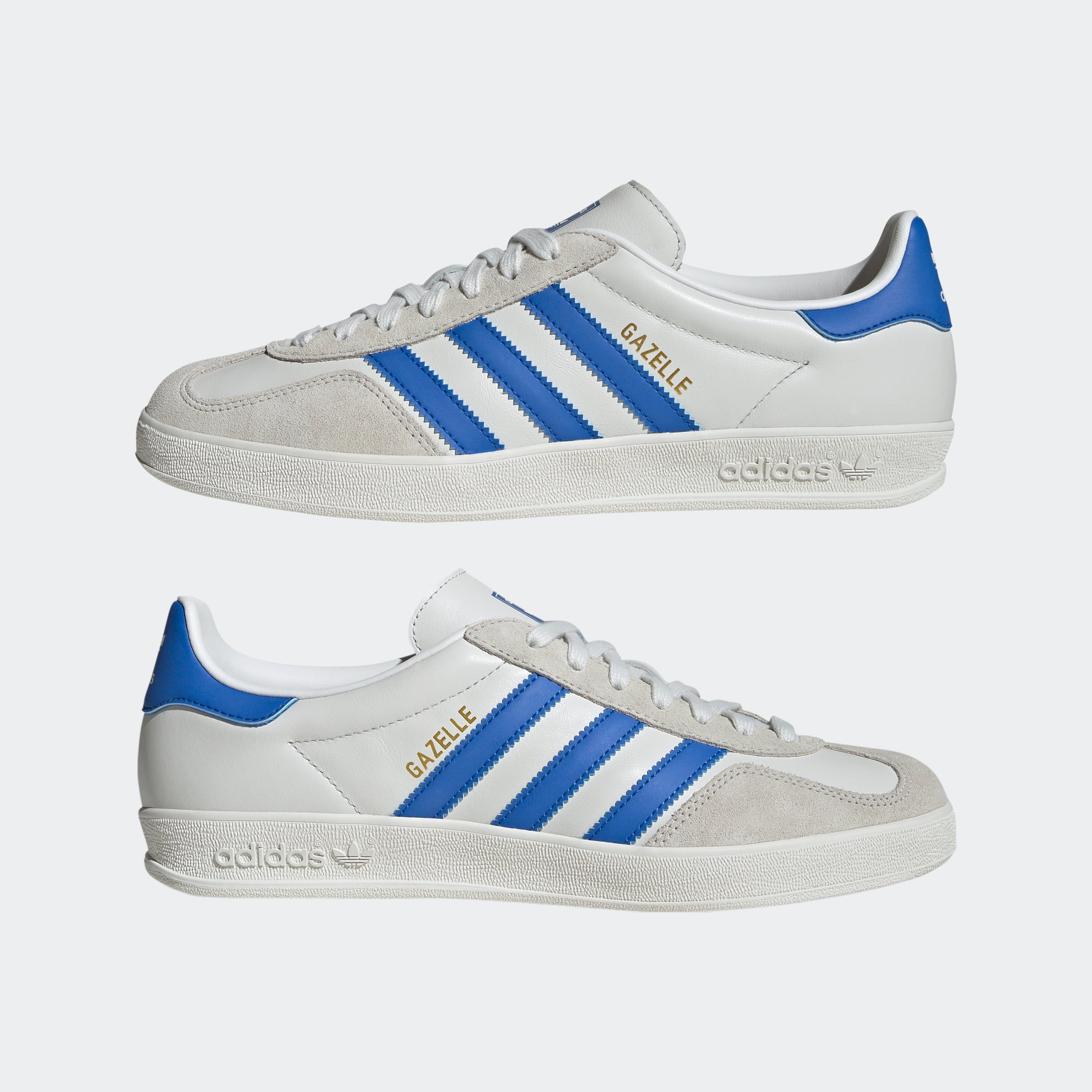 GAZELLE INDOOR