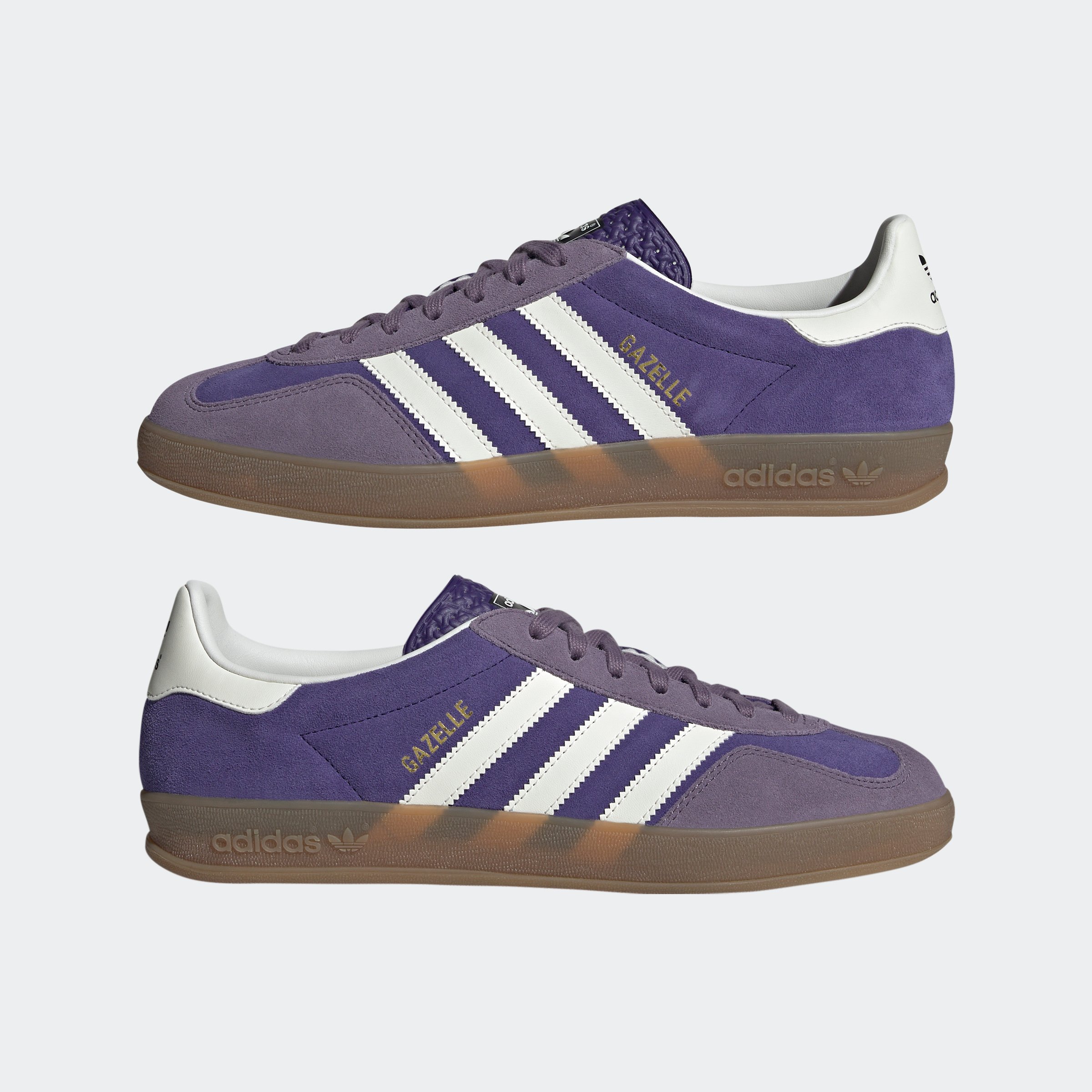GAZELLE INDOOR