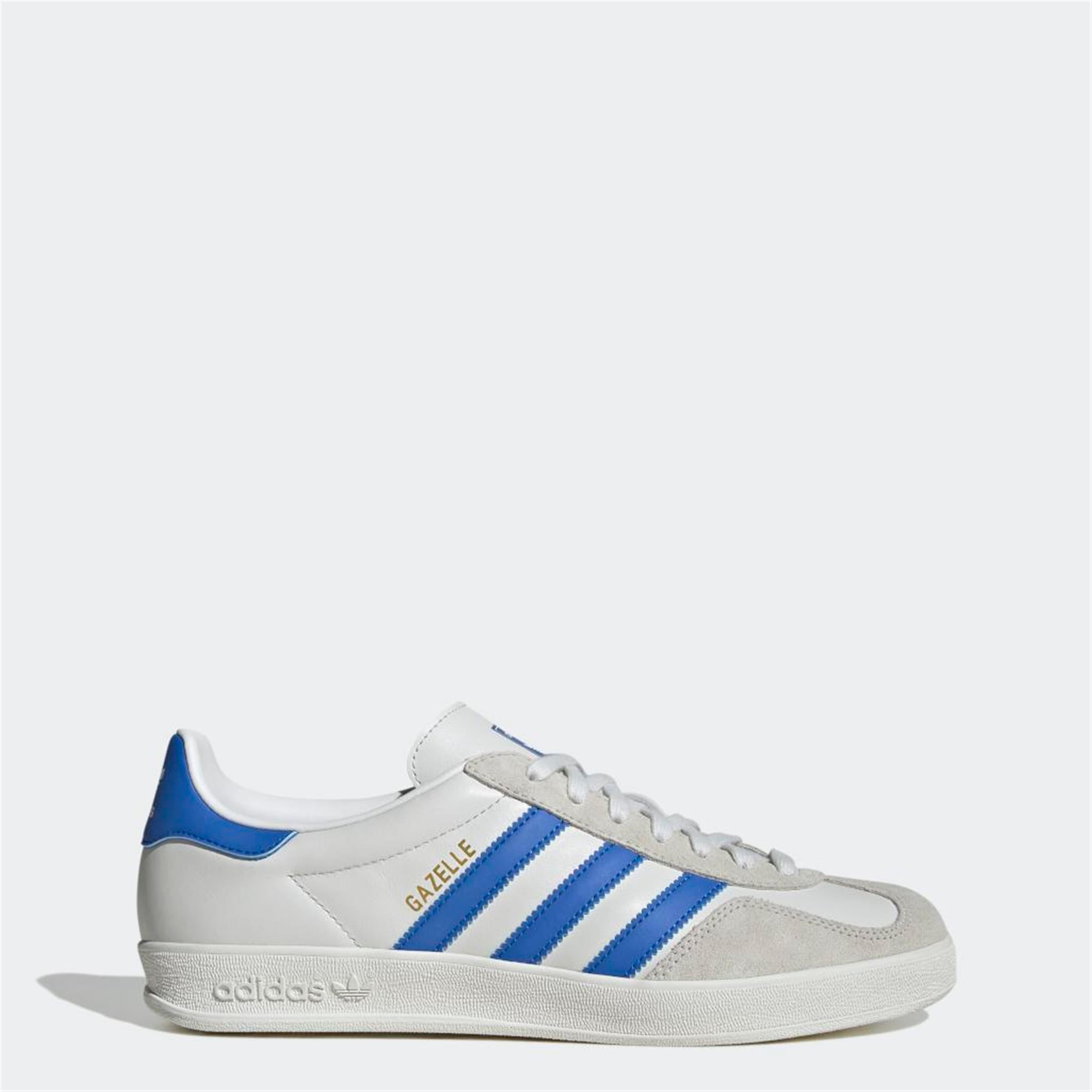 GAZELLE INDOOR