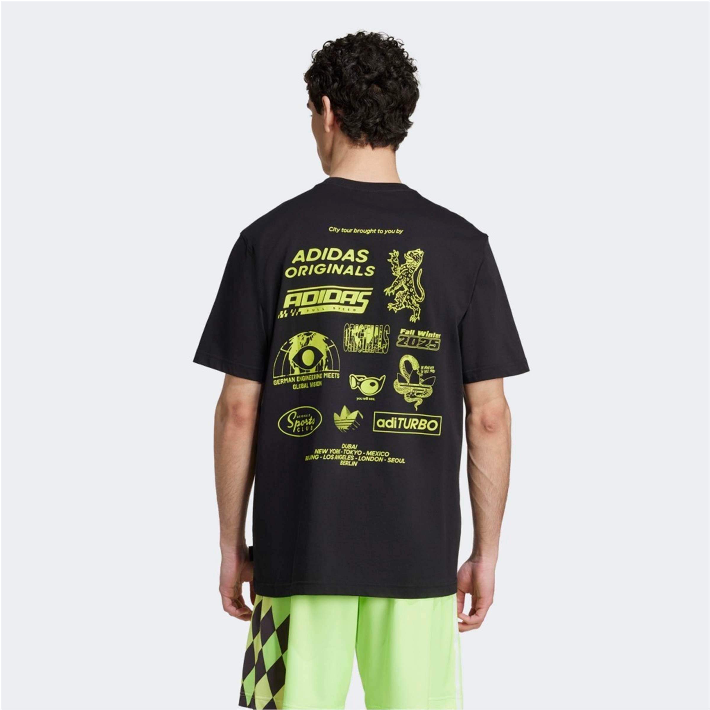 GRAPHIC REG SST