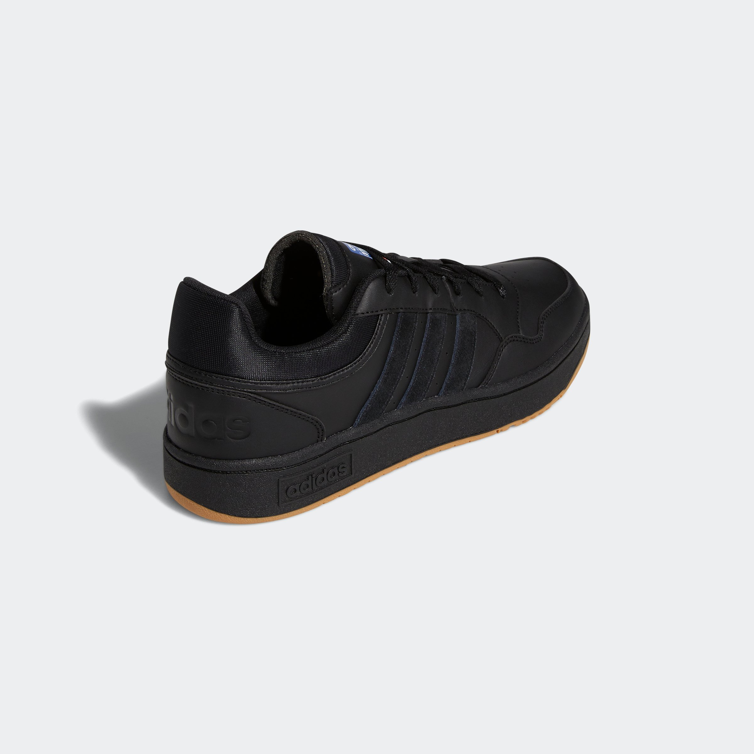 HOOPS 3.0