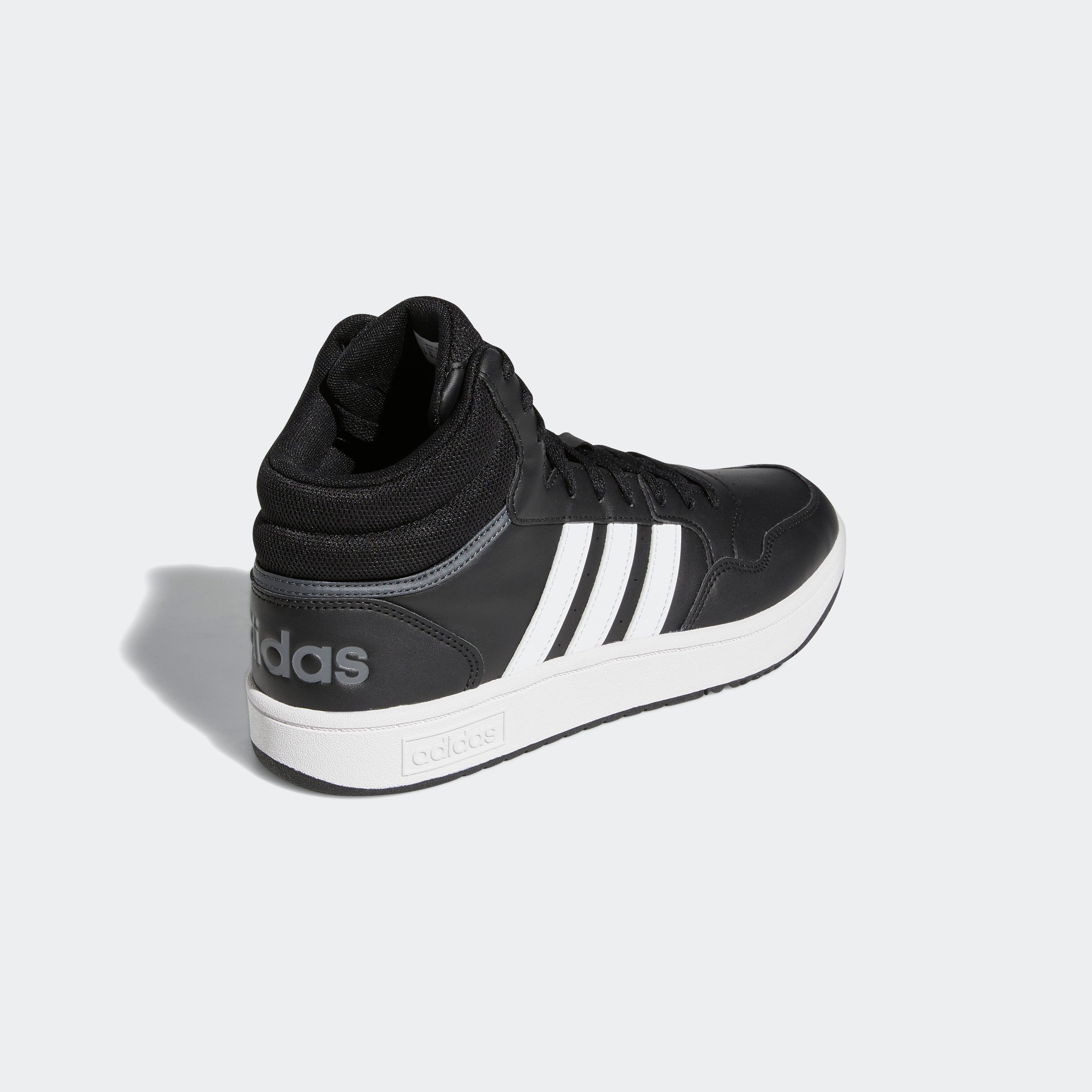 HOOPS 3.0 MID