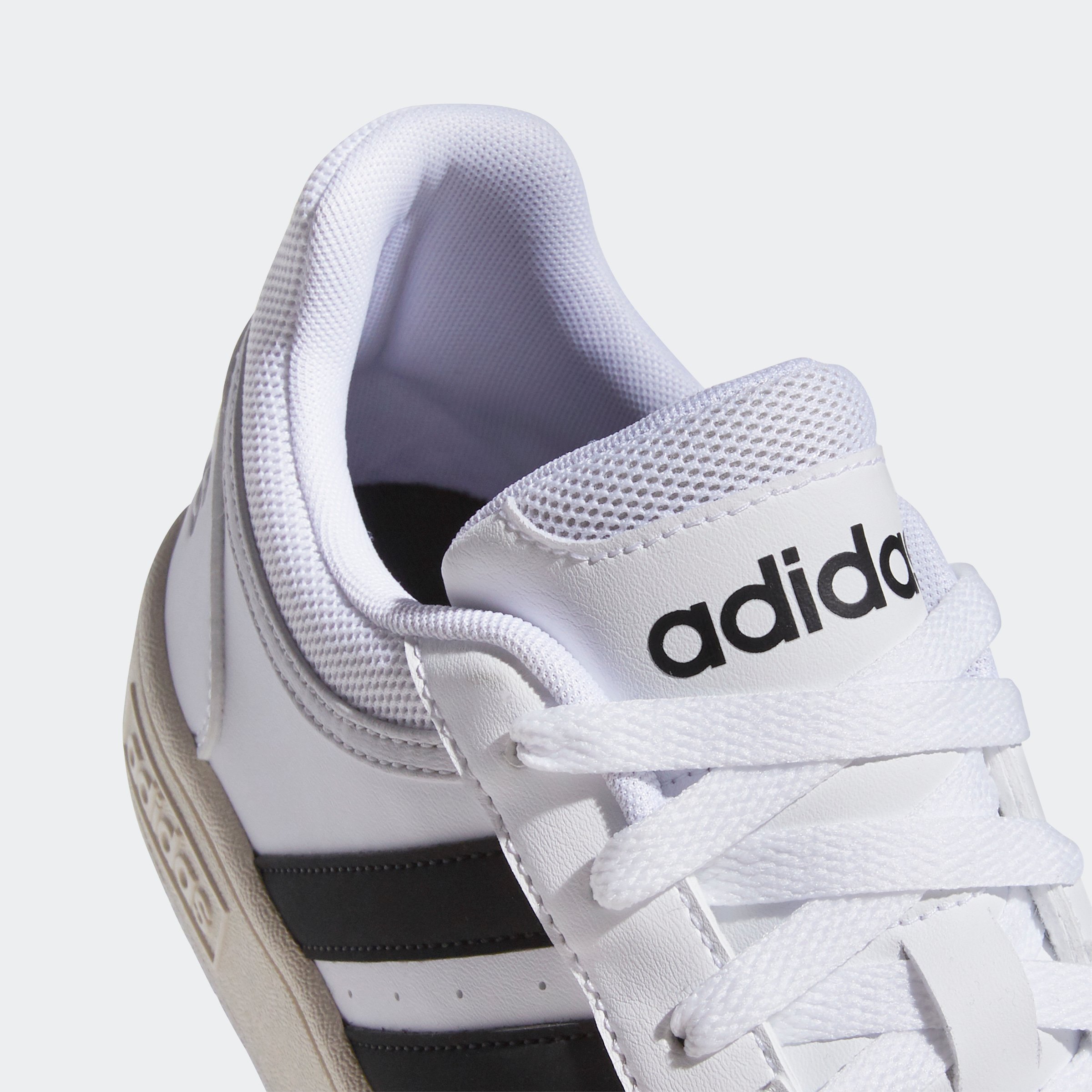 HOOPS 3.0
