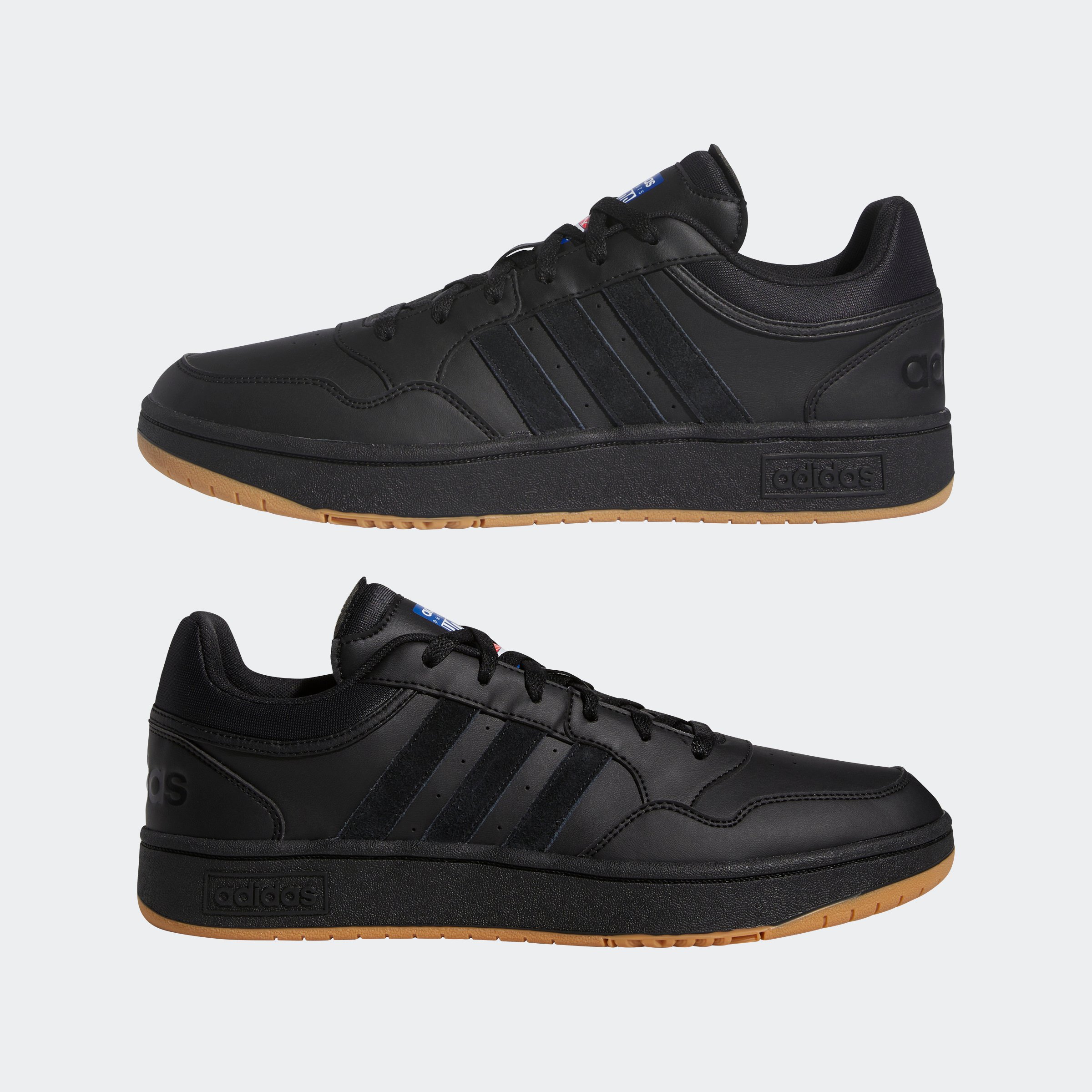 HOOPS 3.0
