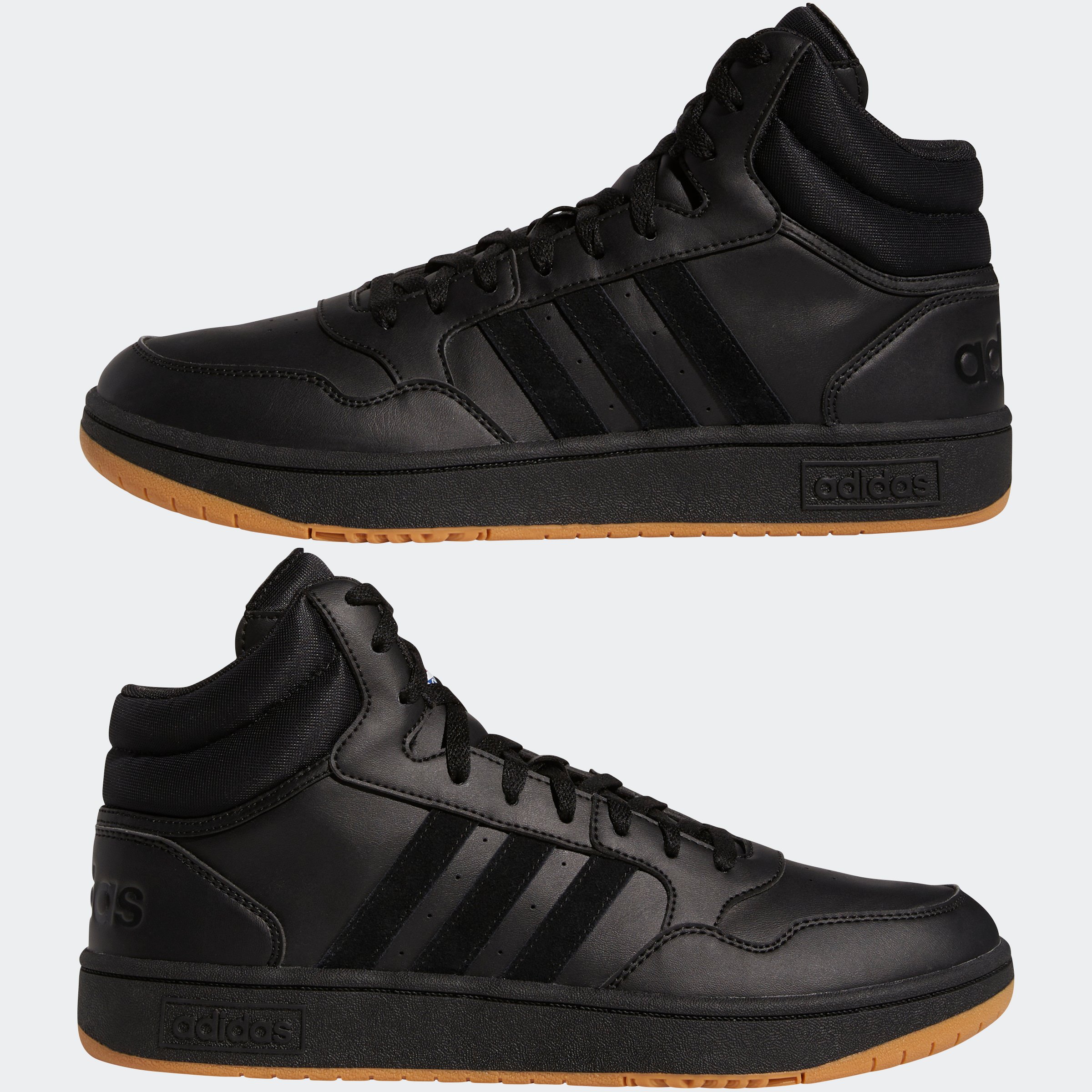 HOOPS 3.0 MID