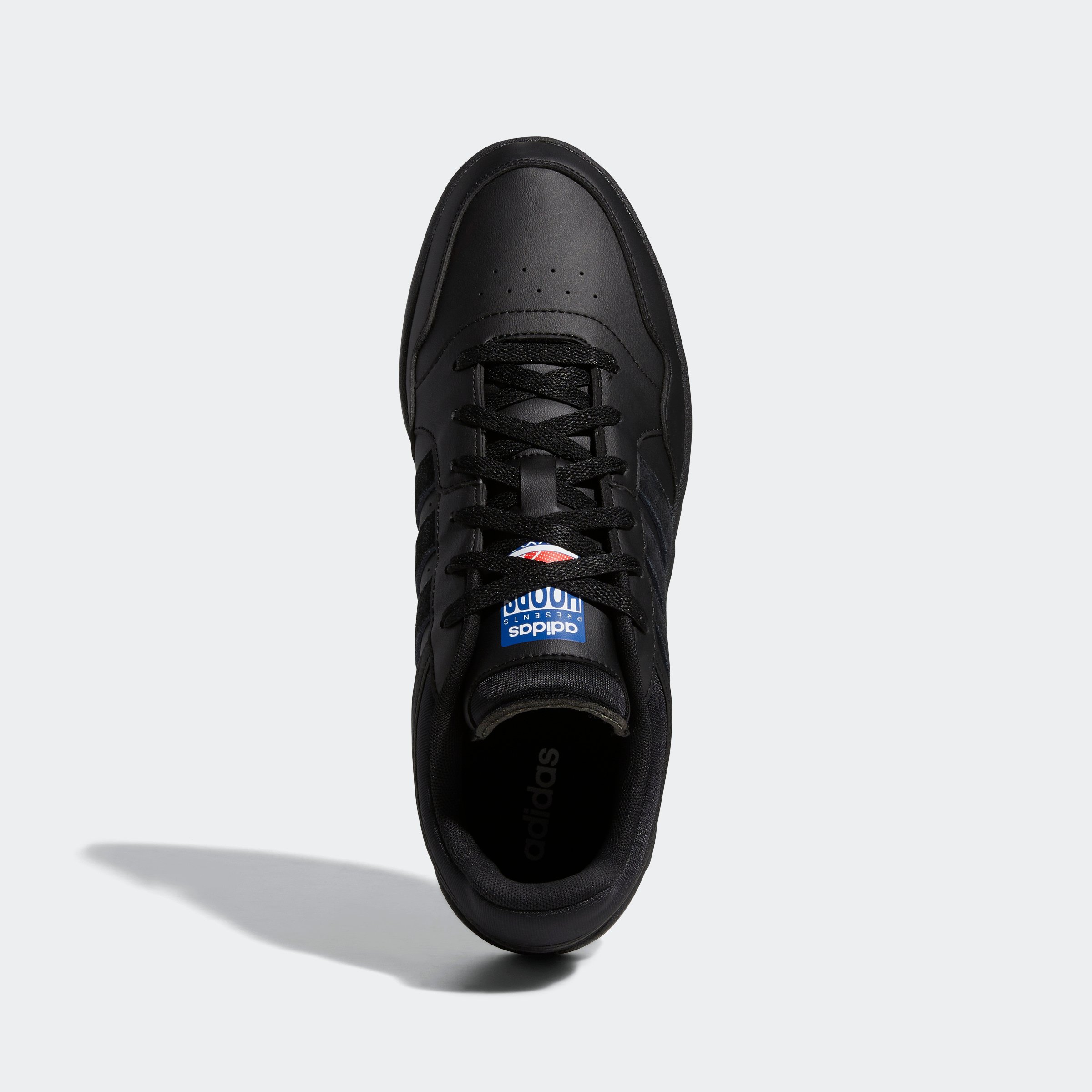 HOOPS 3.0
