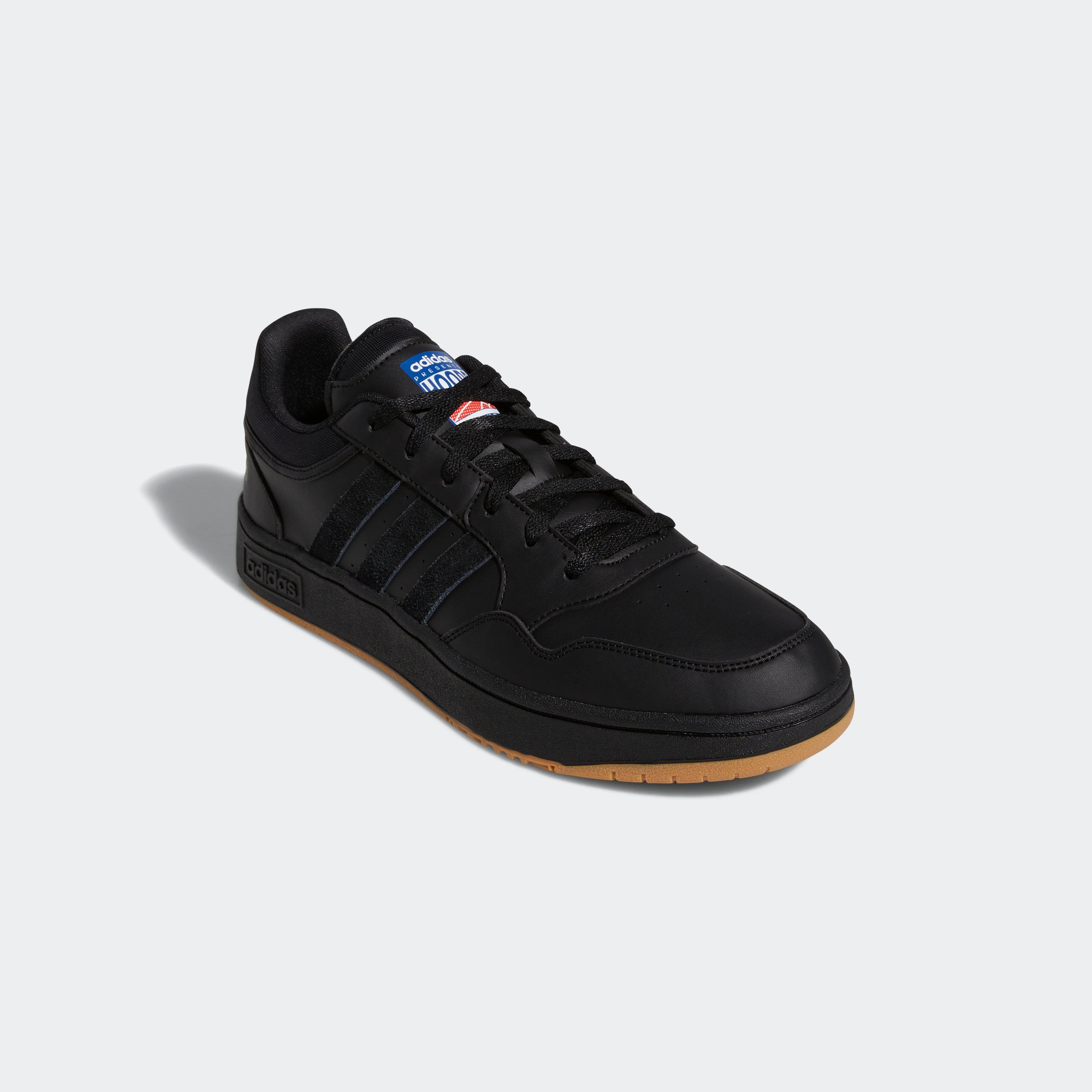 HOOPS 3.0