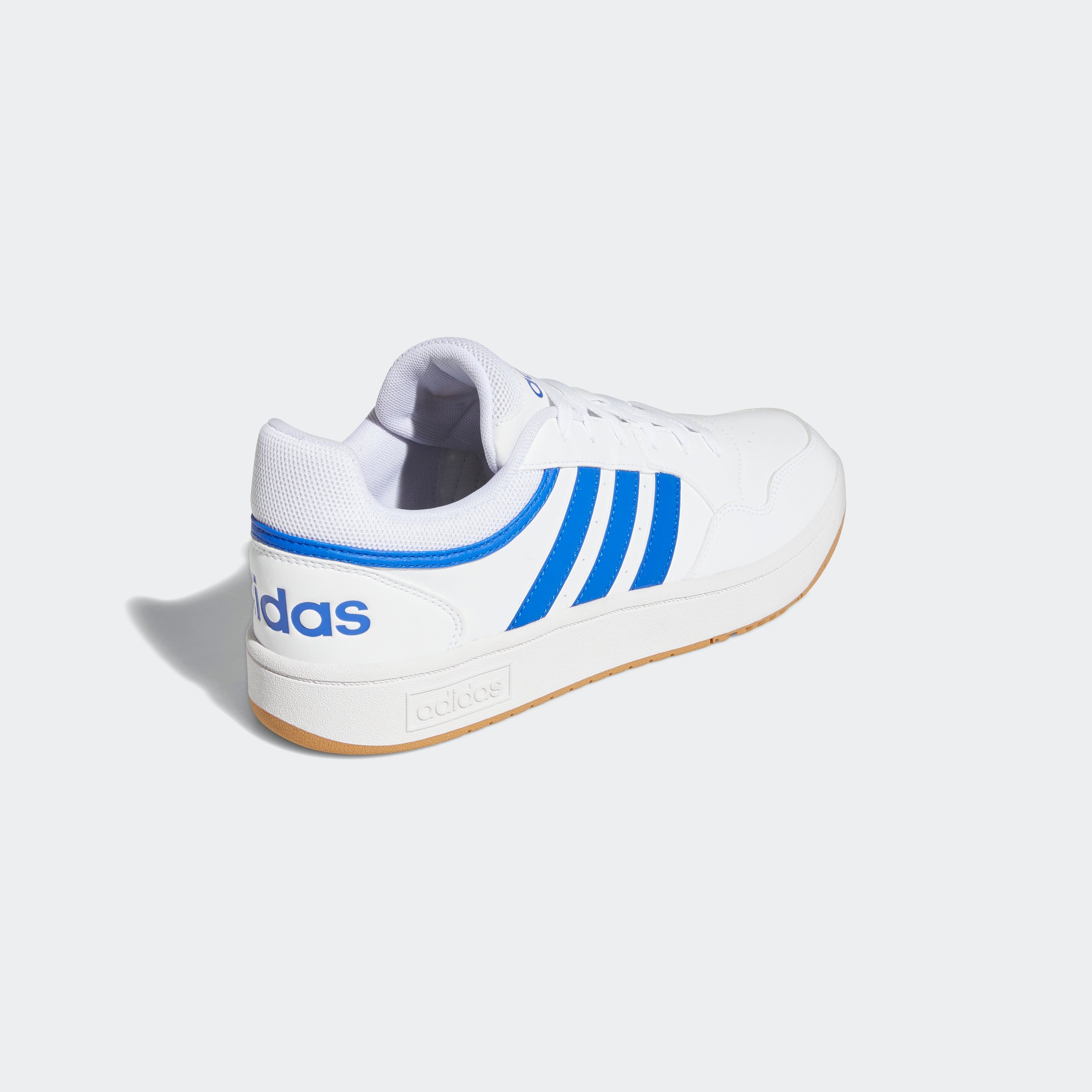 HOOPS 3.0