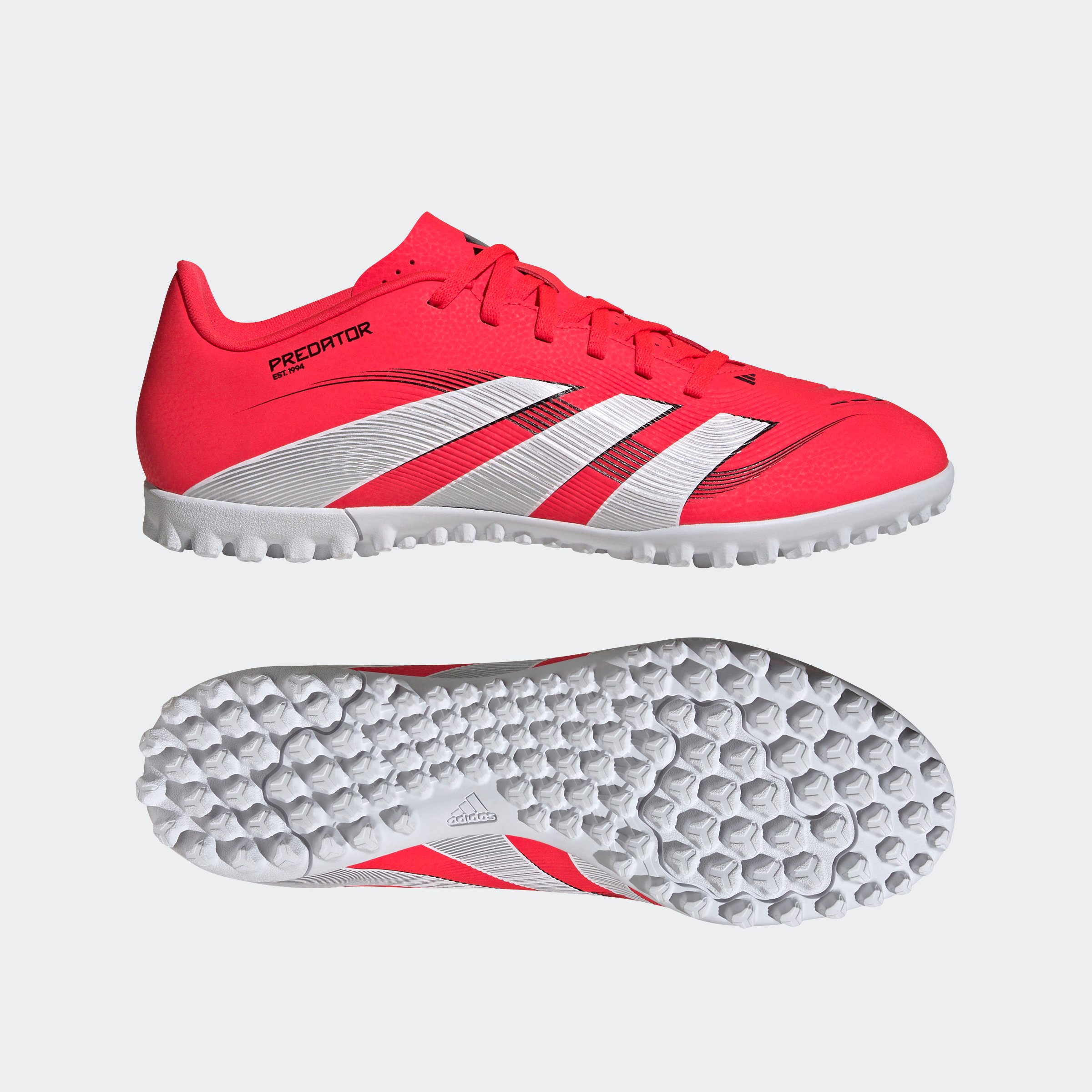 PREDATOR CLUB TF