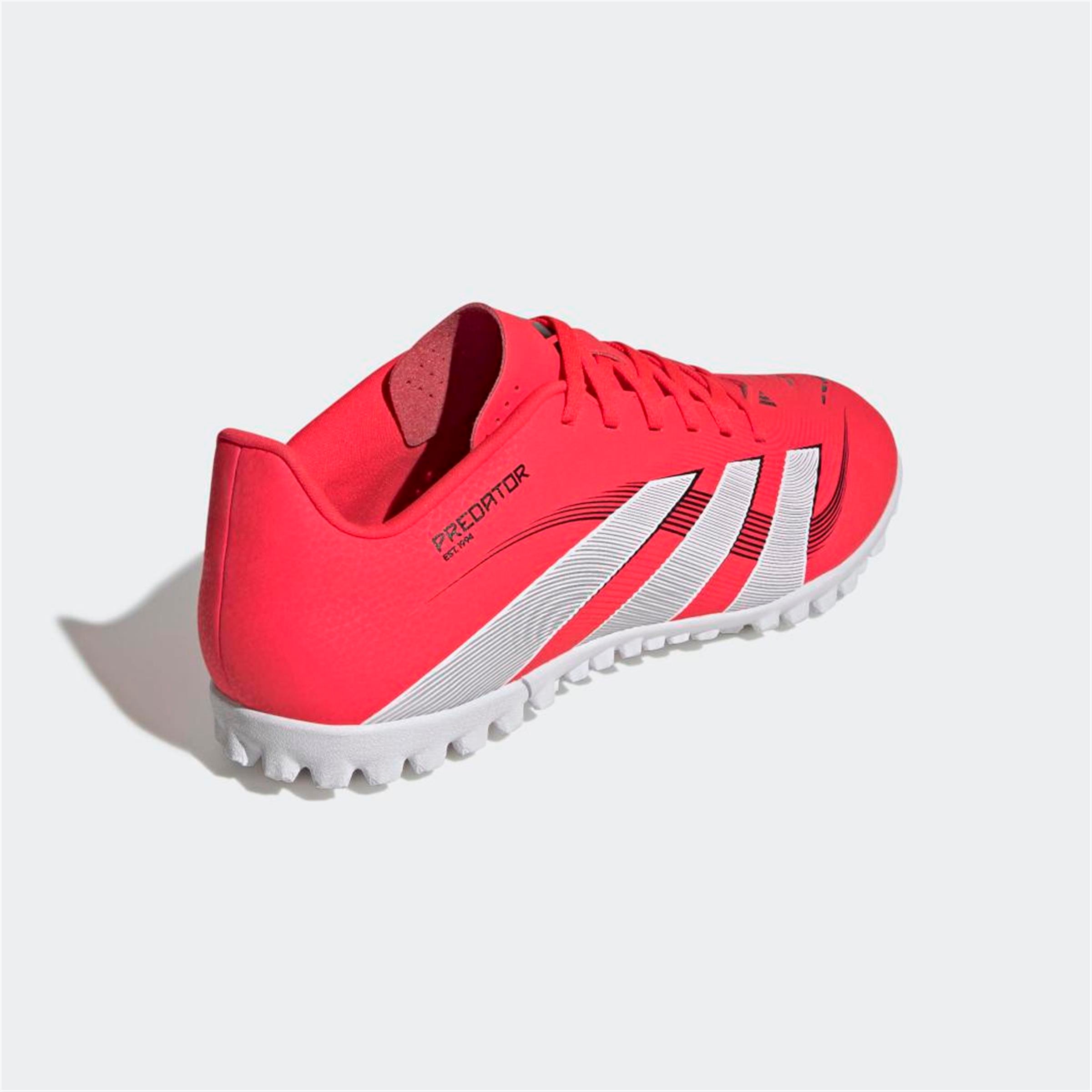 PREDATOR CLUB TF