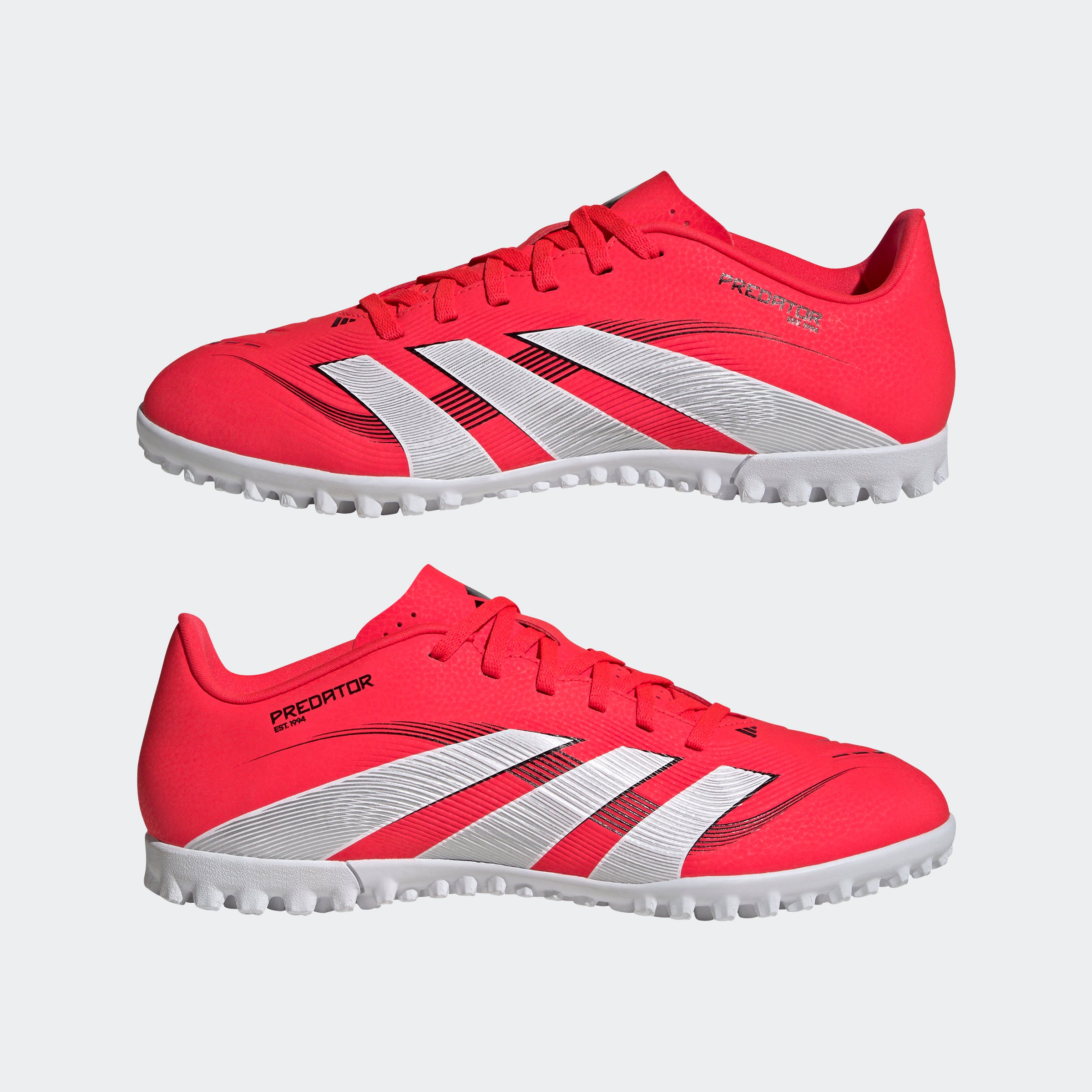 PREDATOR CLUB TF
