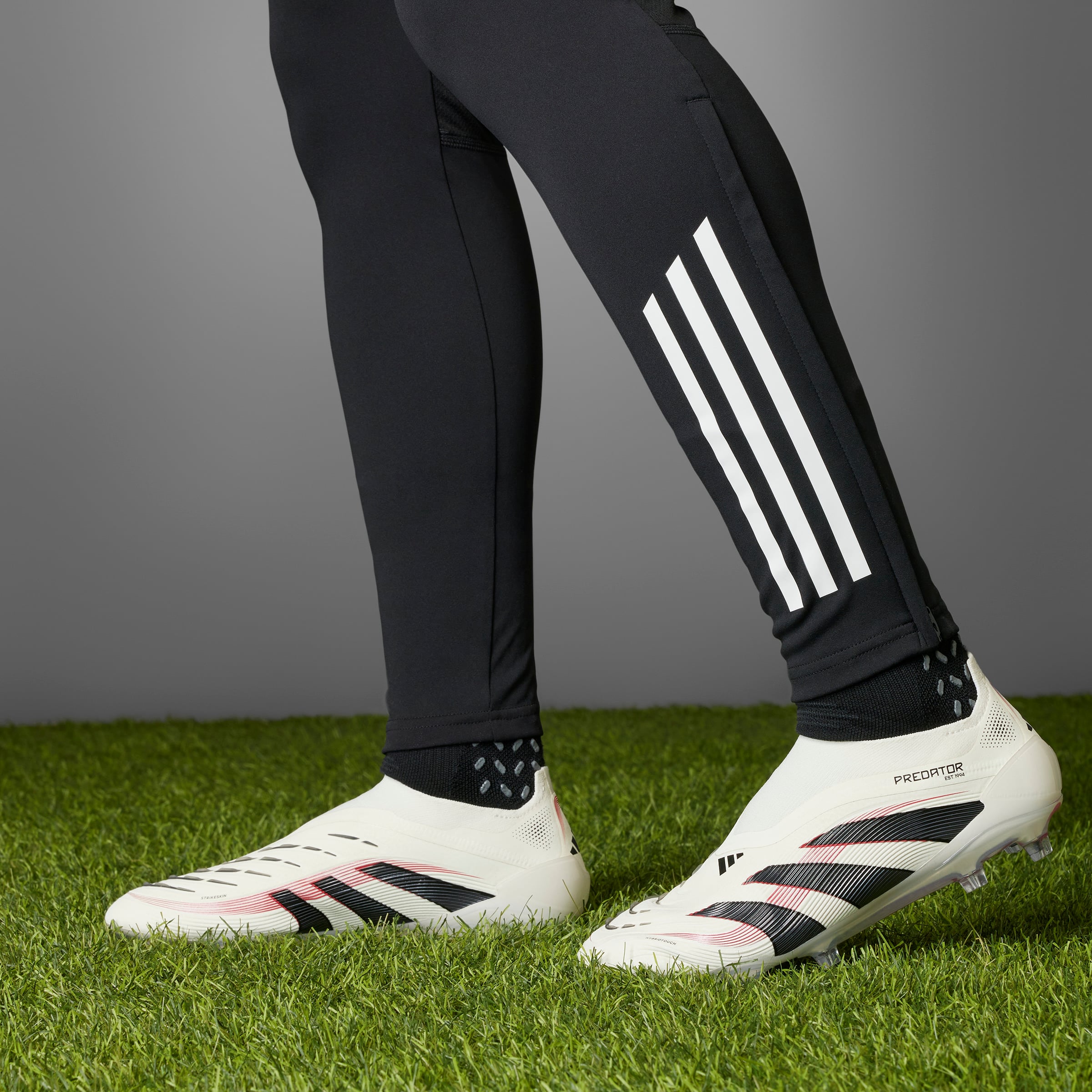 PREDATOR ELITE LL FG
