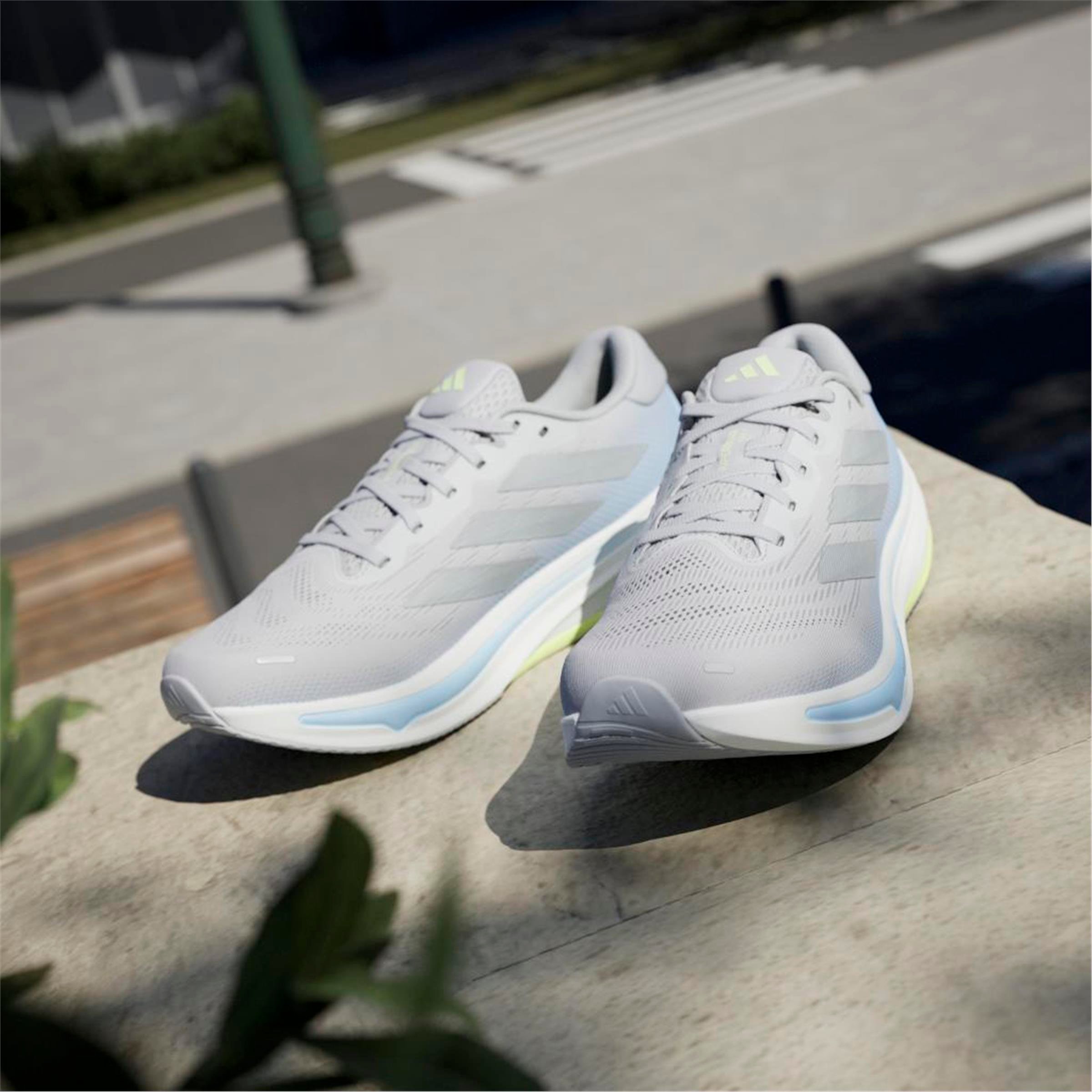 SUPERNOVA RISE 2 M