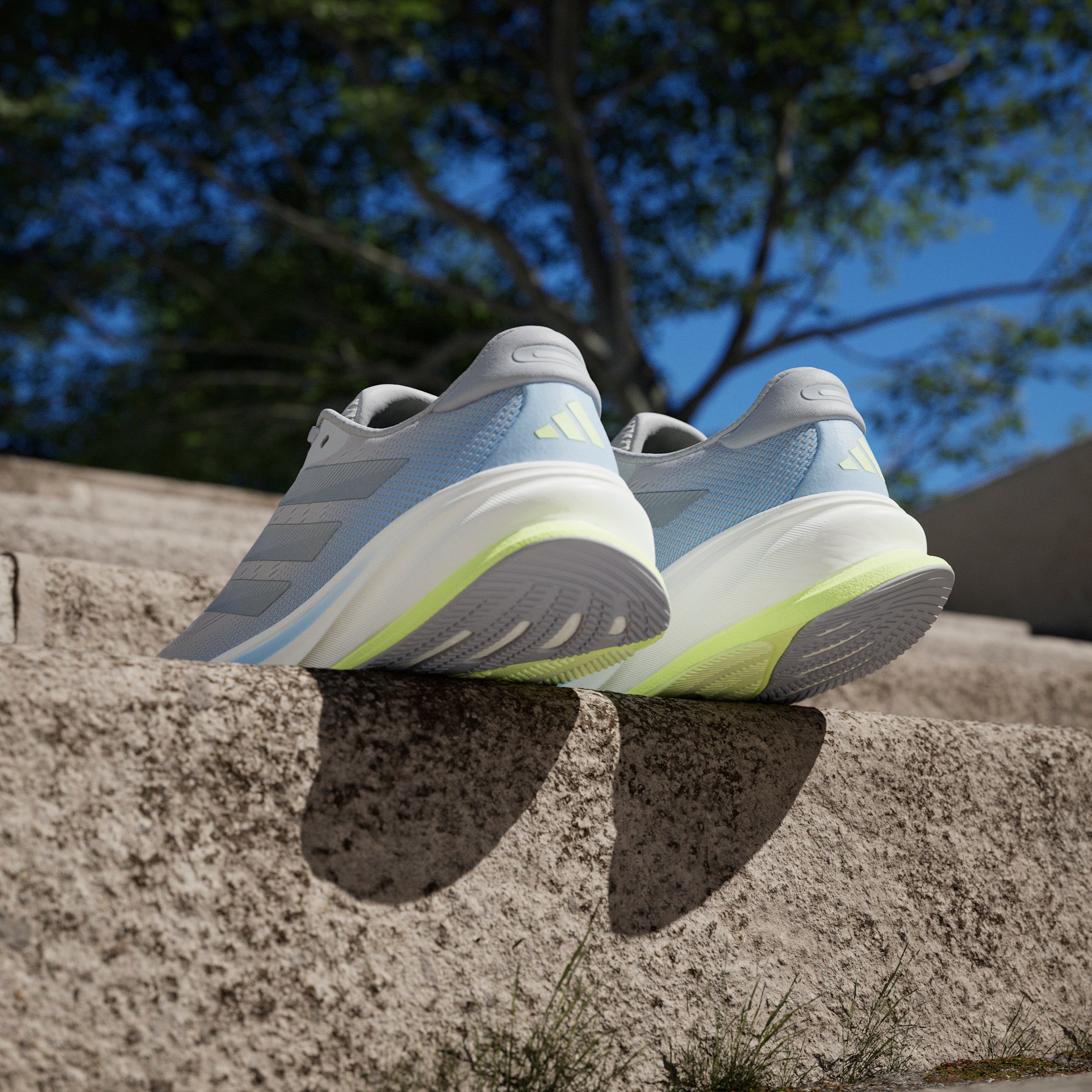 SUPERNOVA RISE 2 M