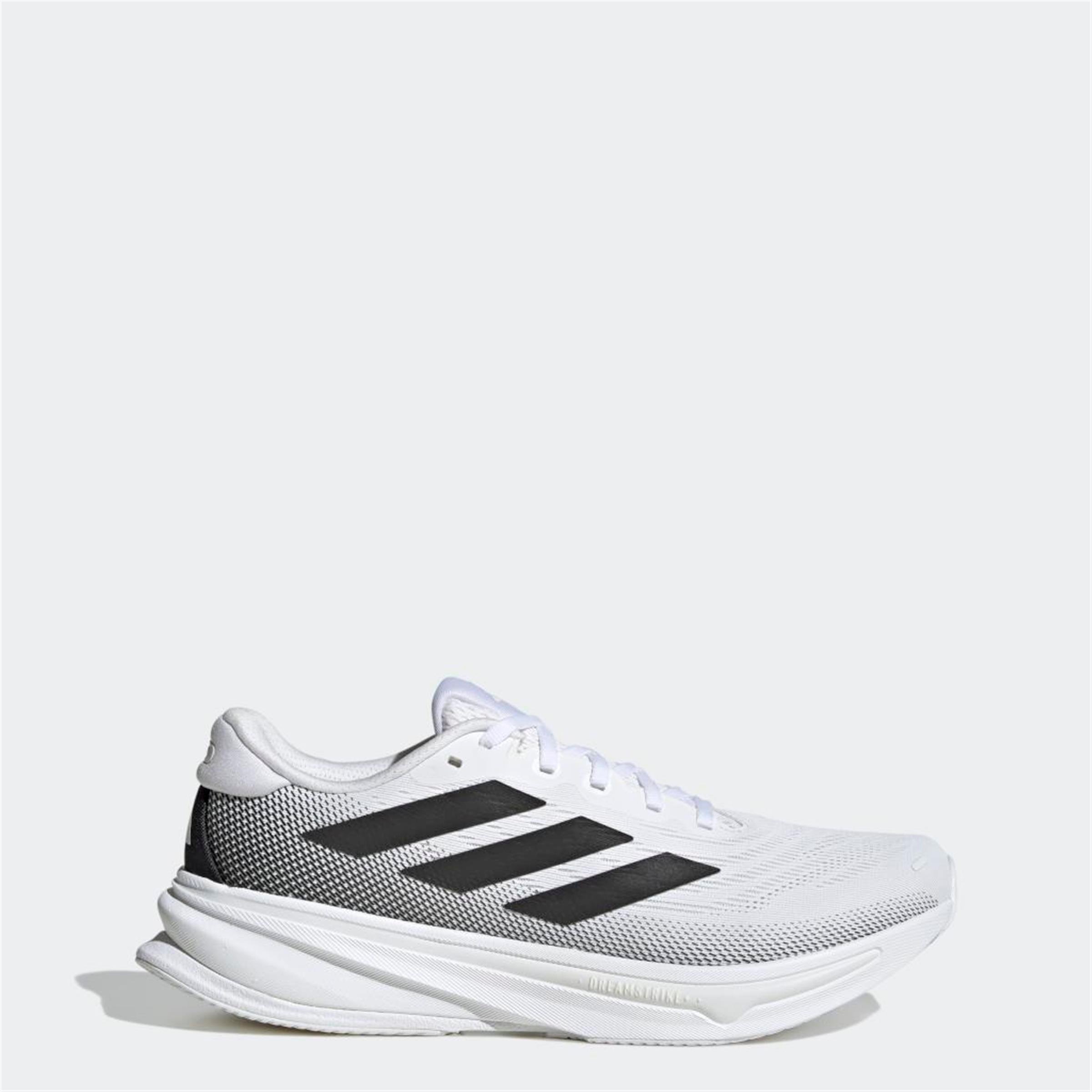 SUPERNOVA RISE 2 M