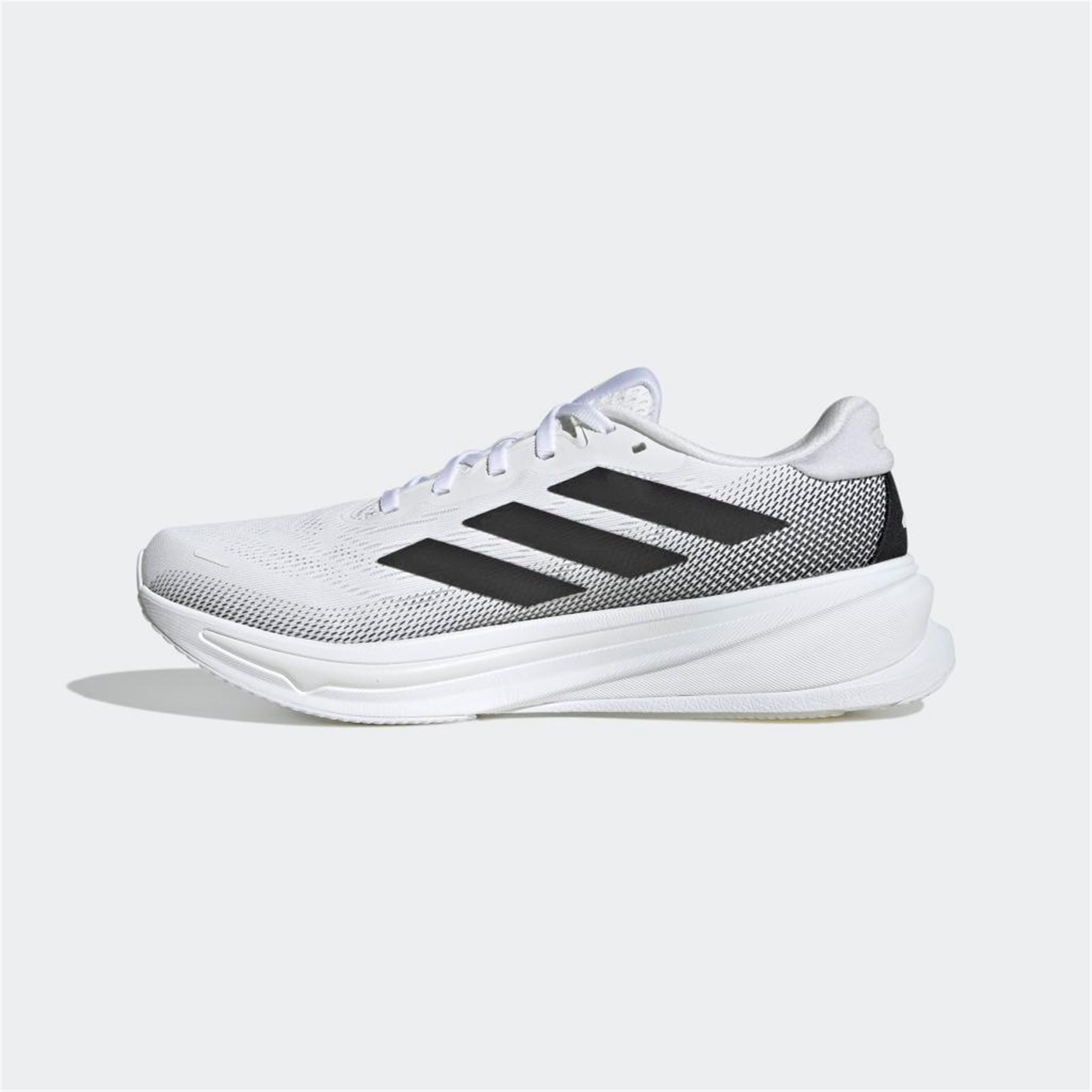 SUPERNOVA RISE 2 M