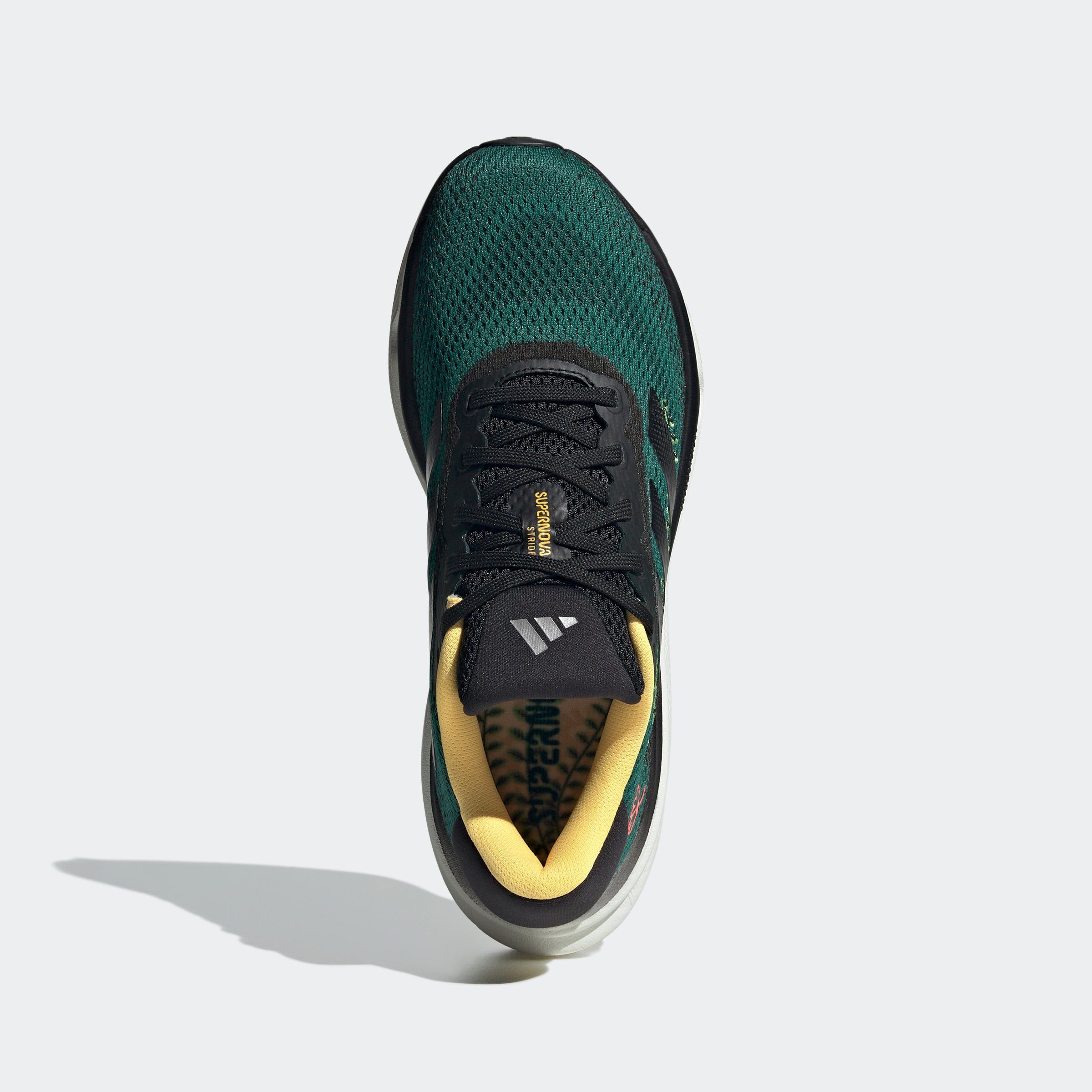 SUPERNOVA STRIDE W EARTH DAY