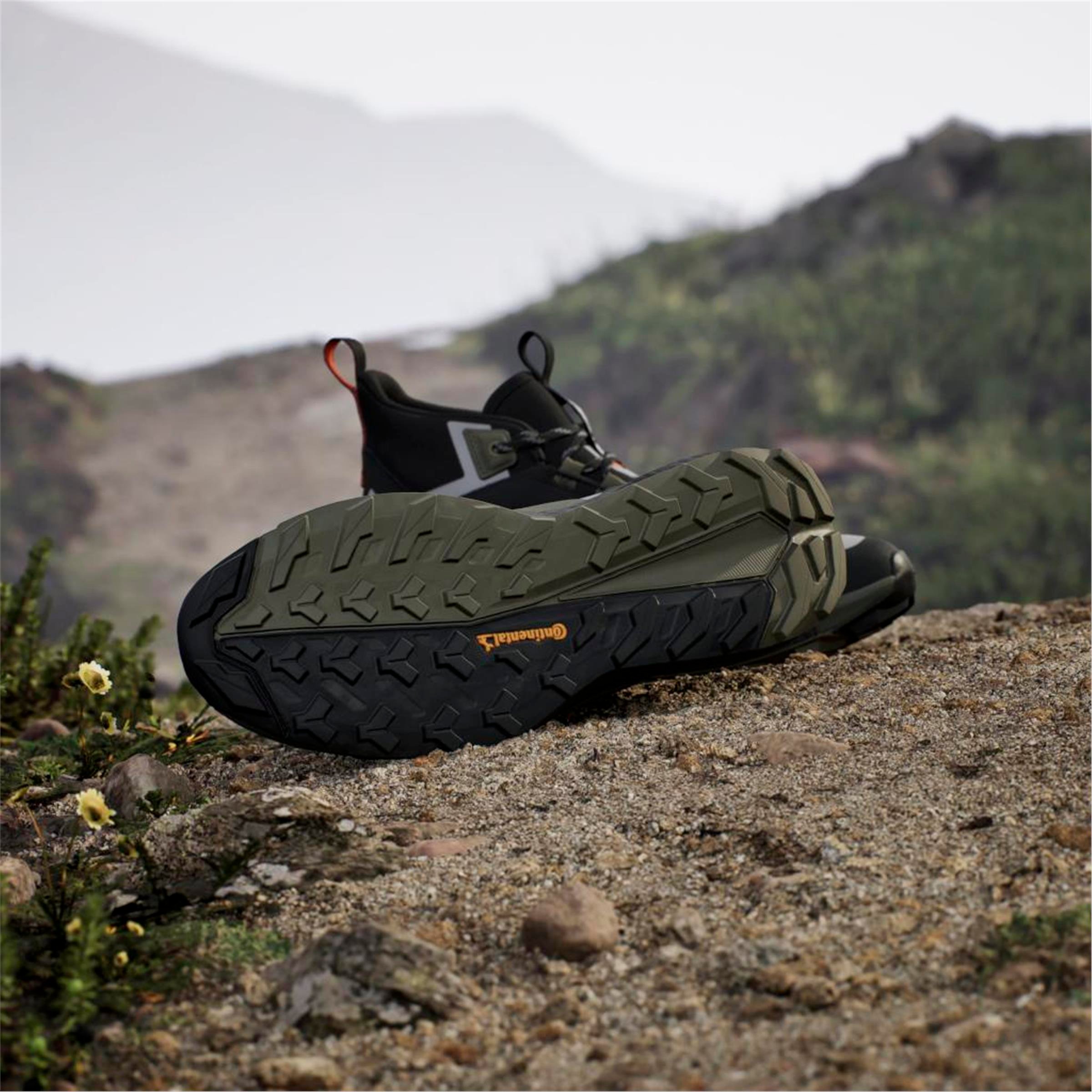 TERREX FREE HIKER 2 GTX