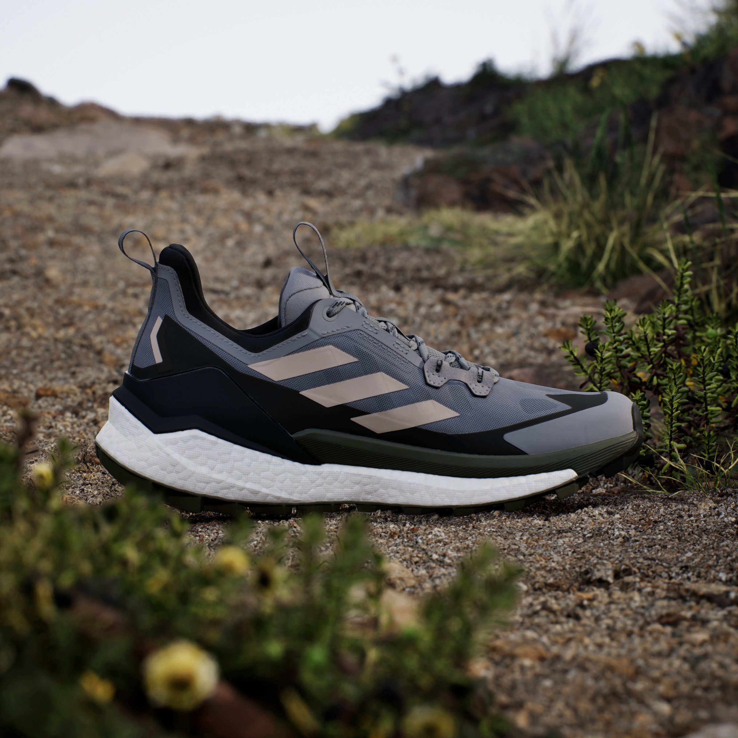 TERREX FREE HIKER 2 LOW