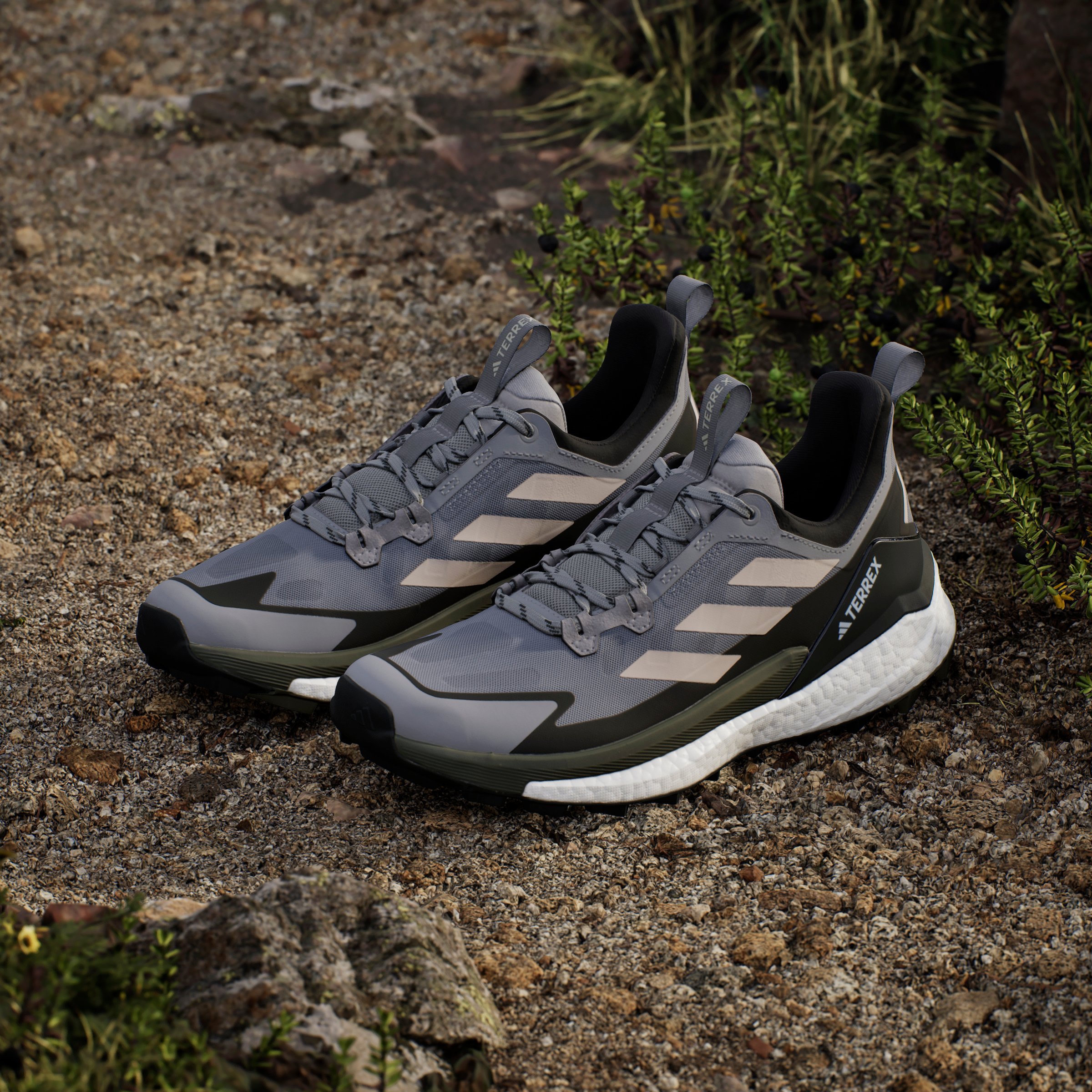 TERREX FREE HIKER 2 LOW