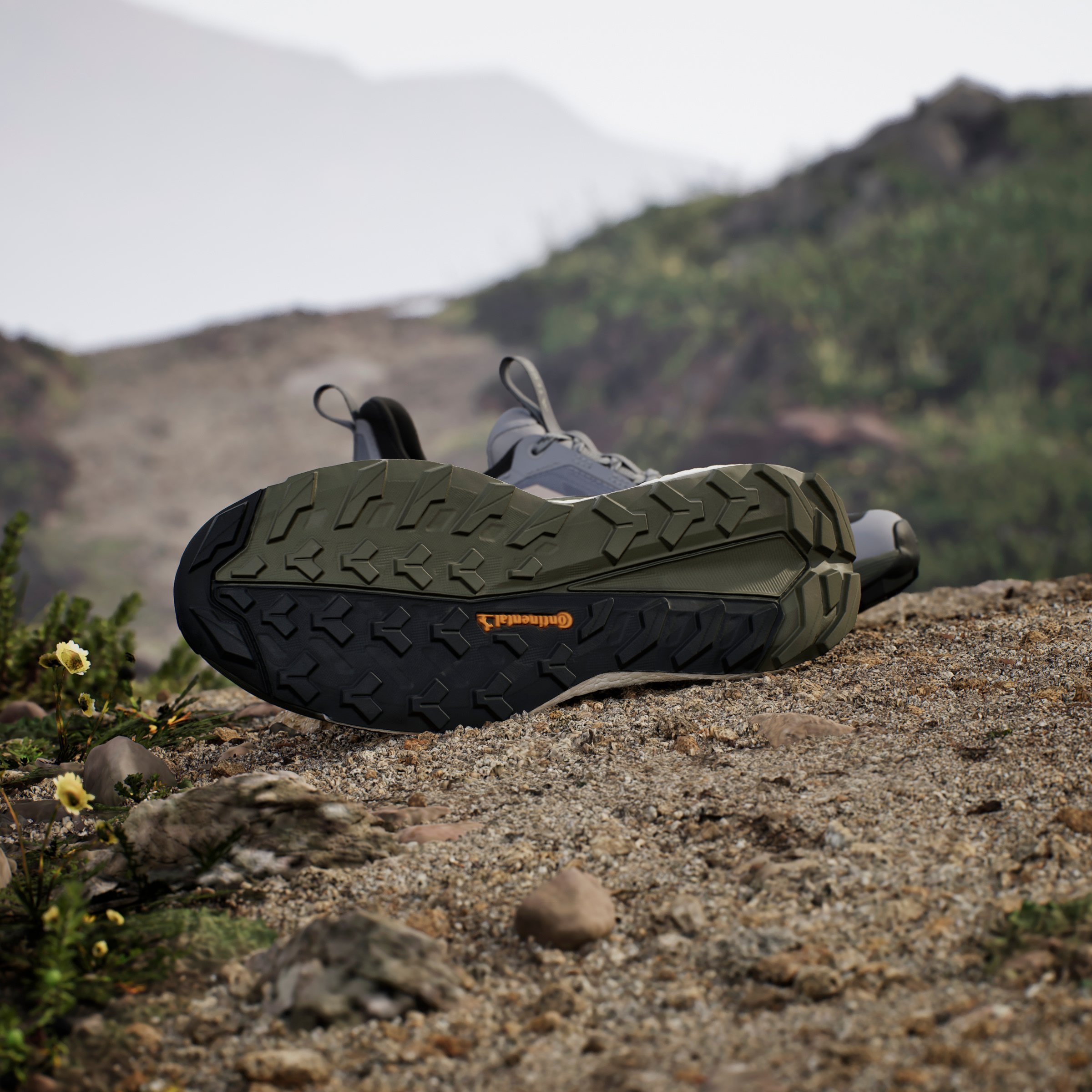 TERREX FREE HIKER 2 LOW