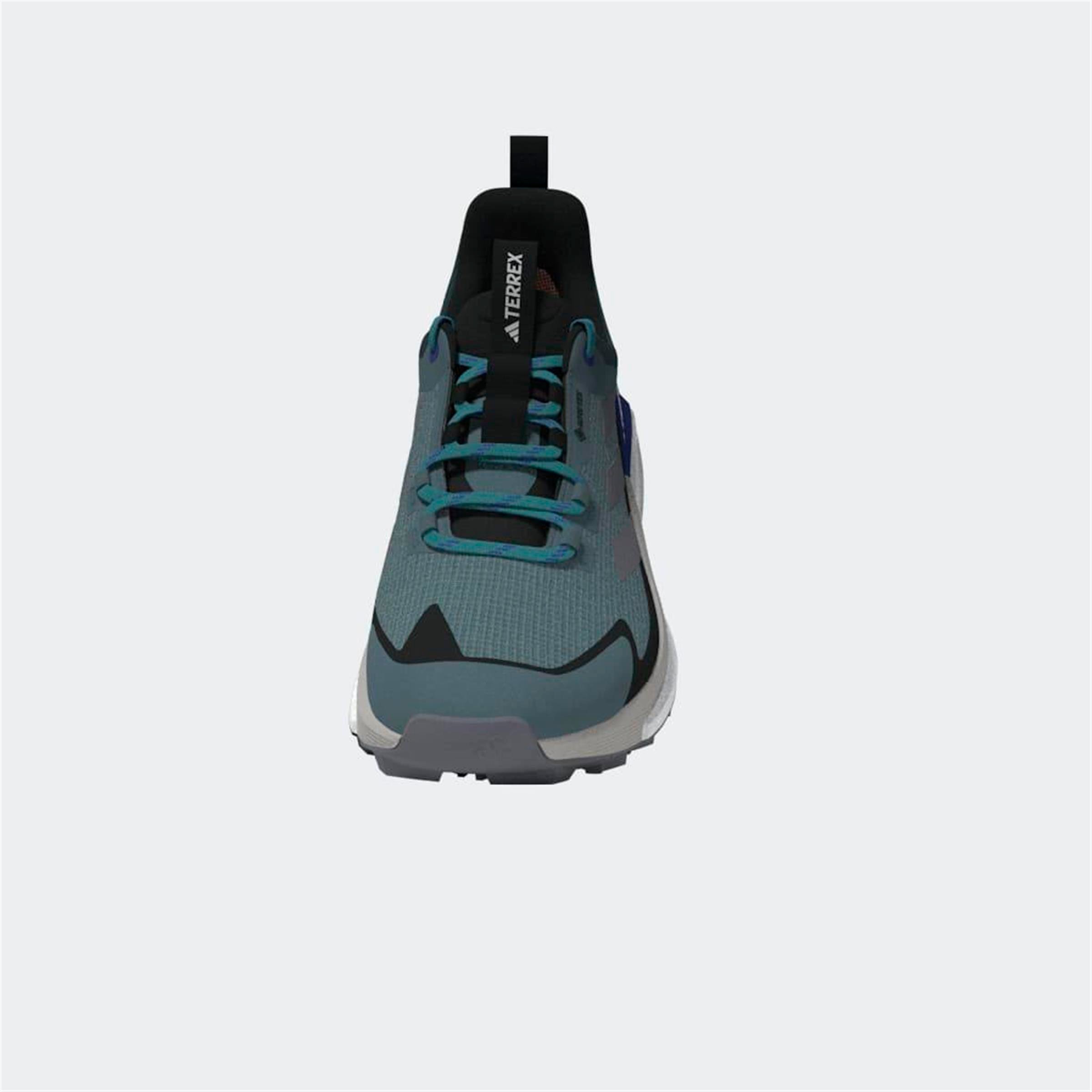 TERREX FREE HIKER 2 LOW GTX