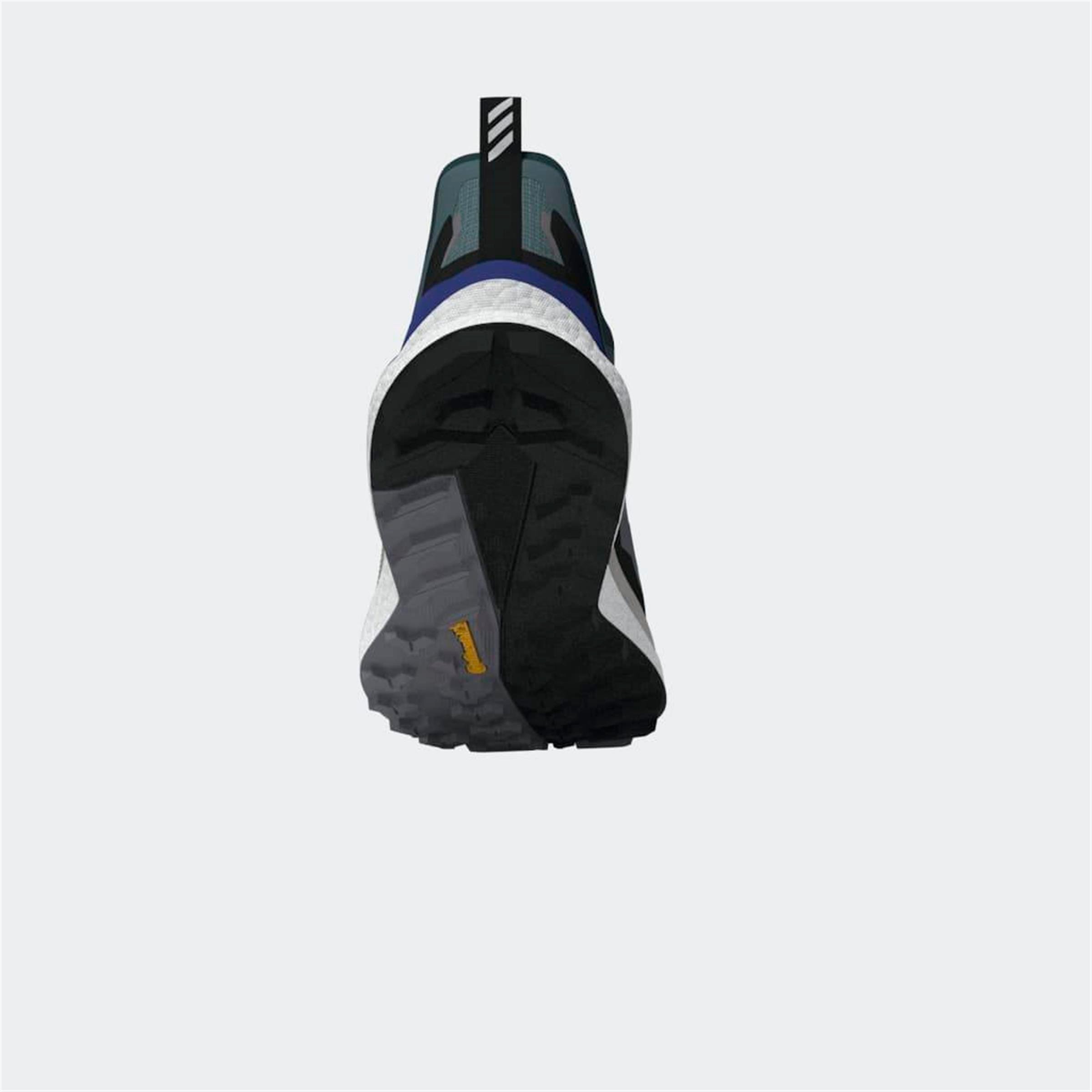 TERREX FREE HIKER 2 LOW GTX