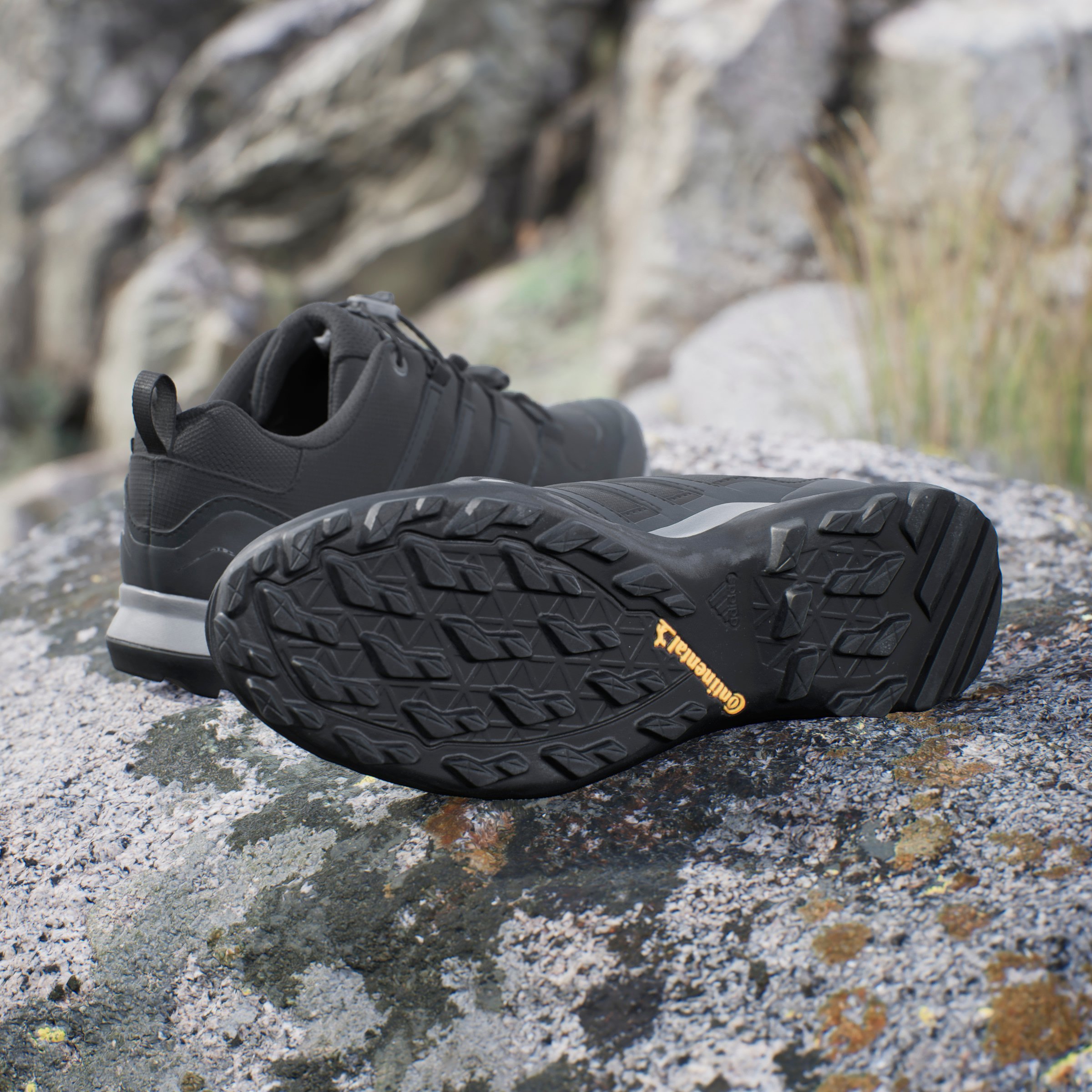 TERREX SWIFT R2 GTX