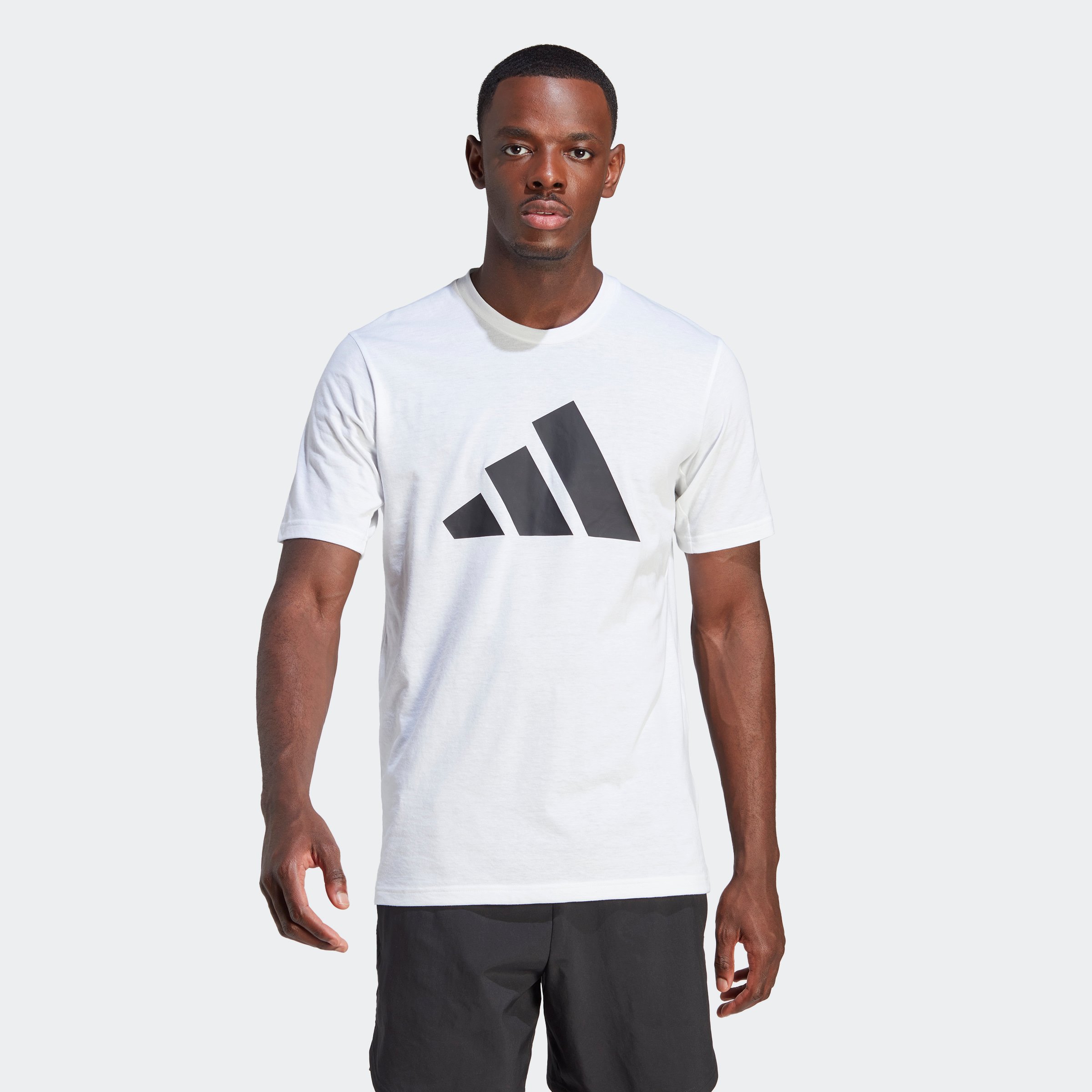 TR-ES FR LOGO T