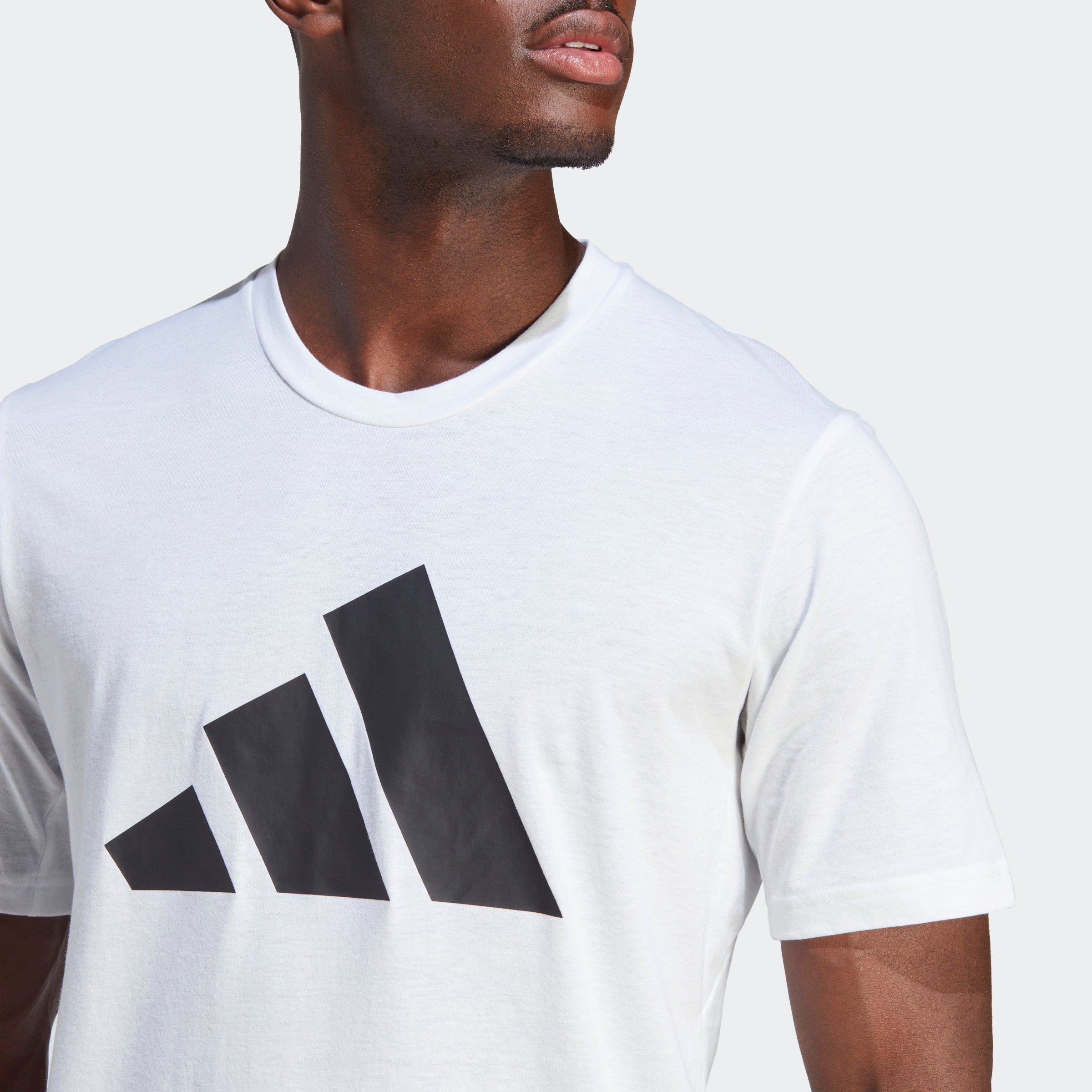 TR-ES FR LOGO T