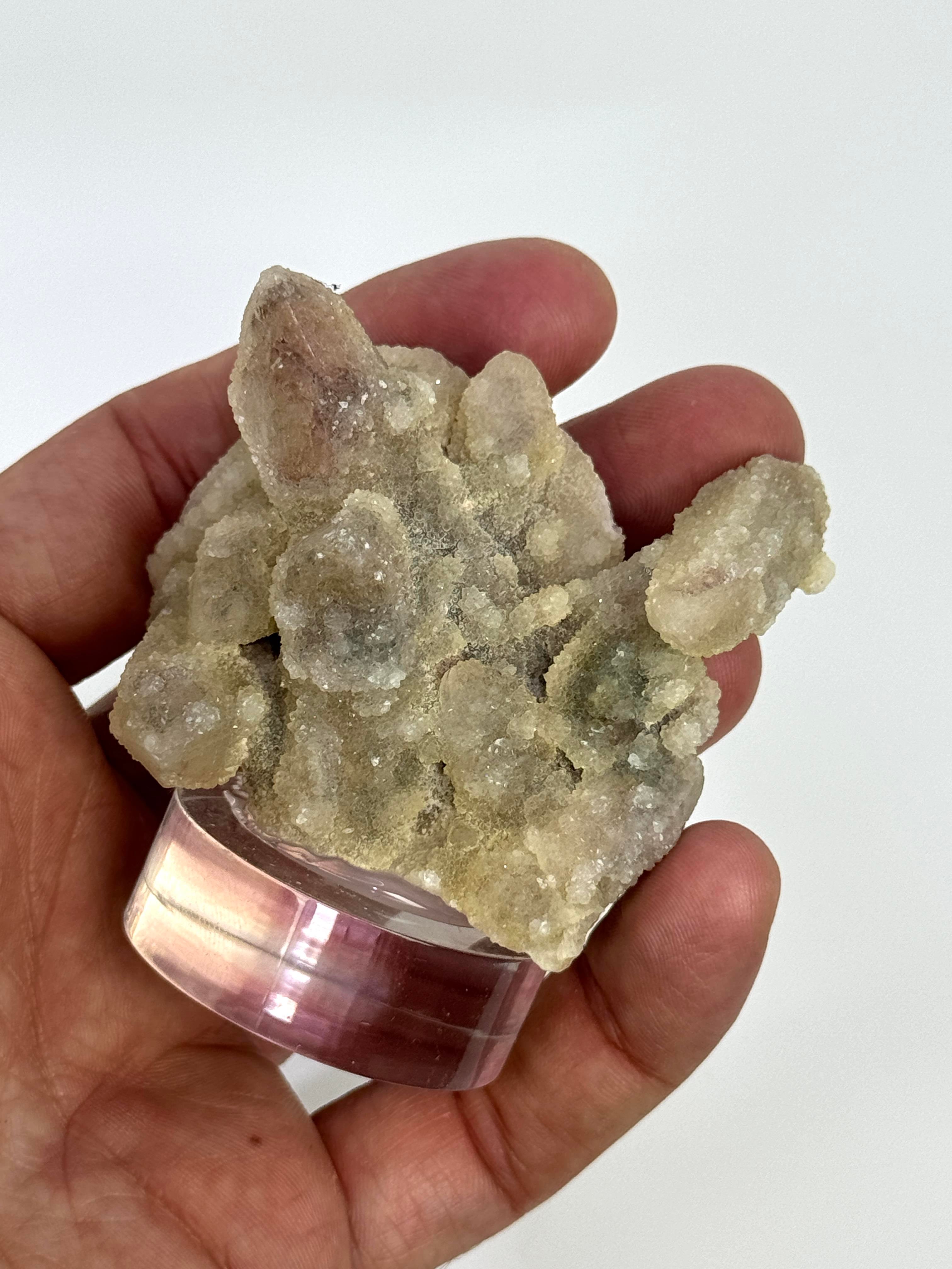 CADI PARMAĞI 83,3 GR.