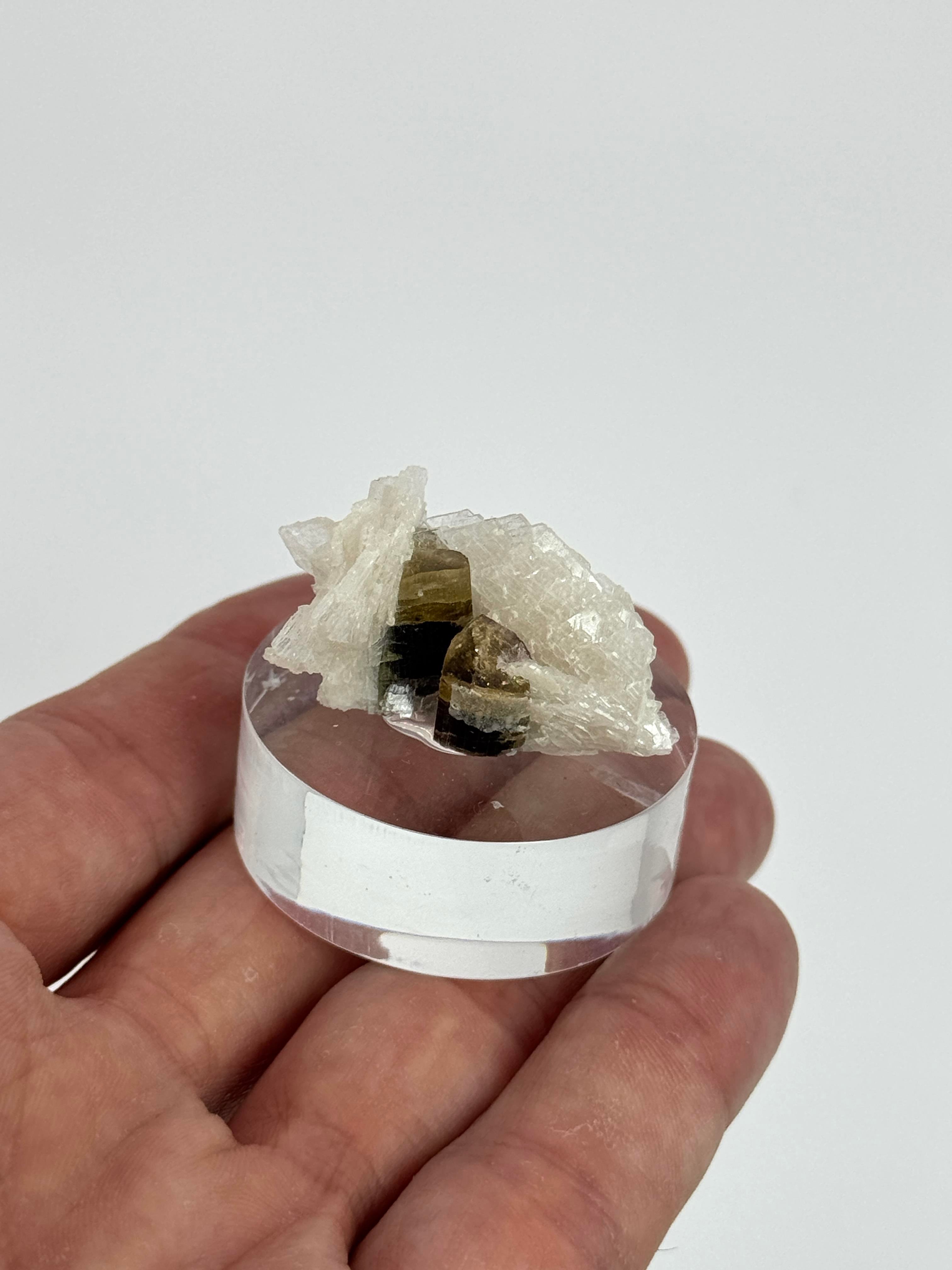 ÇİFT RENK TURMALİN & KLEVLANDİT 11,4 GR.