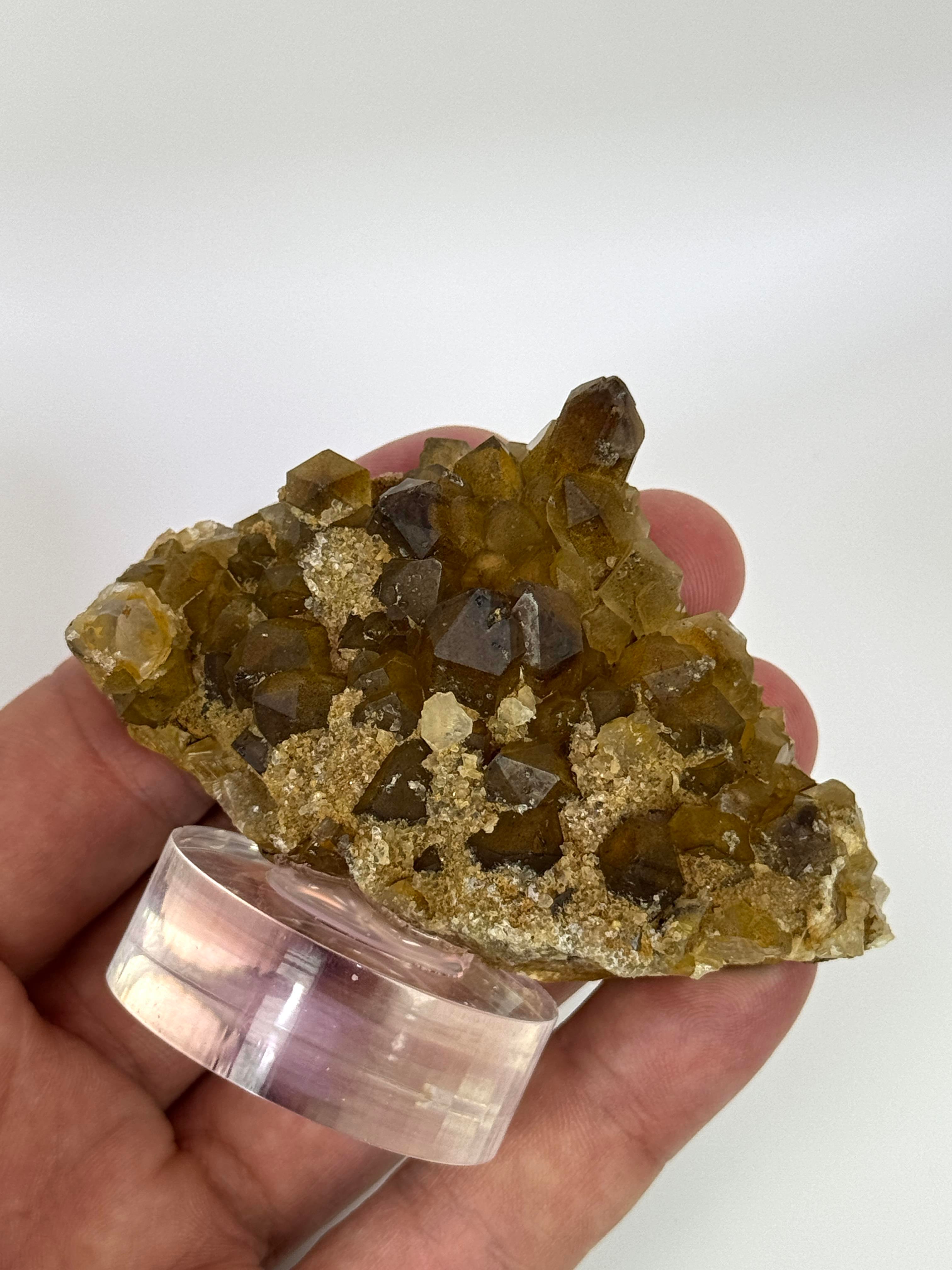 GOLDEN HEALER KUVARS 100,4 GR.