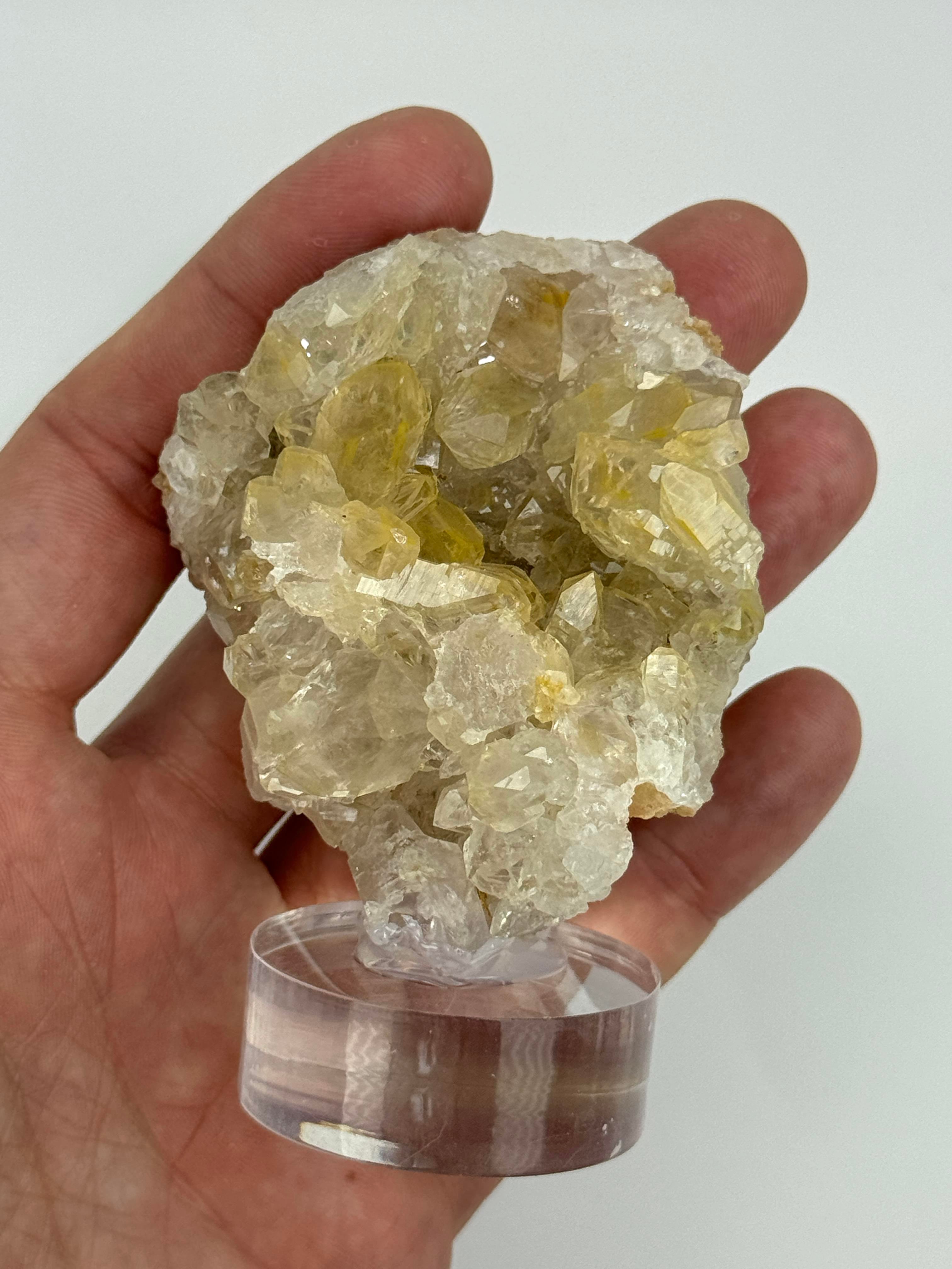 GOLDEN HEALER KUVARS 90 GR.