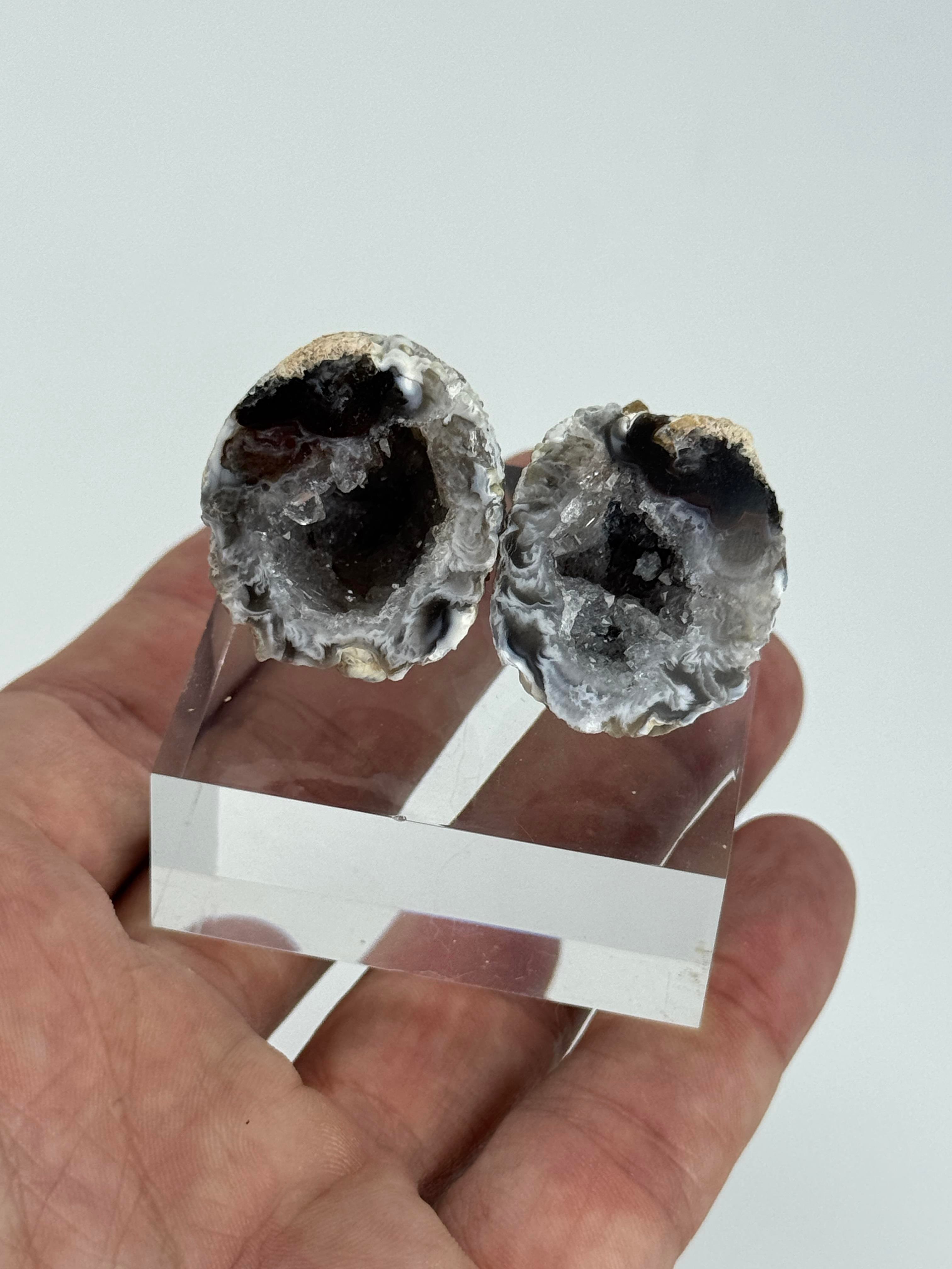 İKİZ JEOT AKİK 32,5 GR.