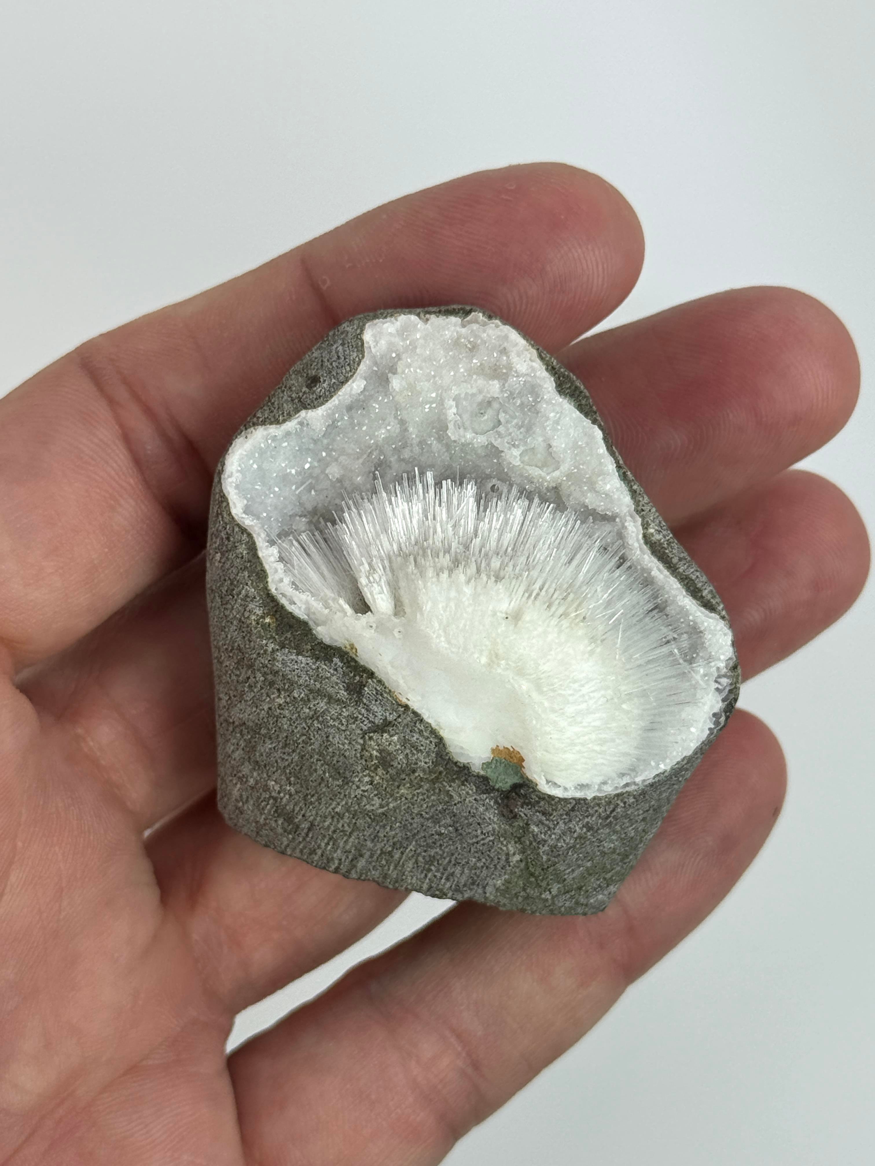 SKOLESİT 86,3 GR.